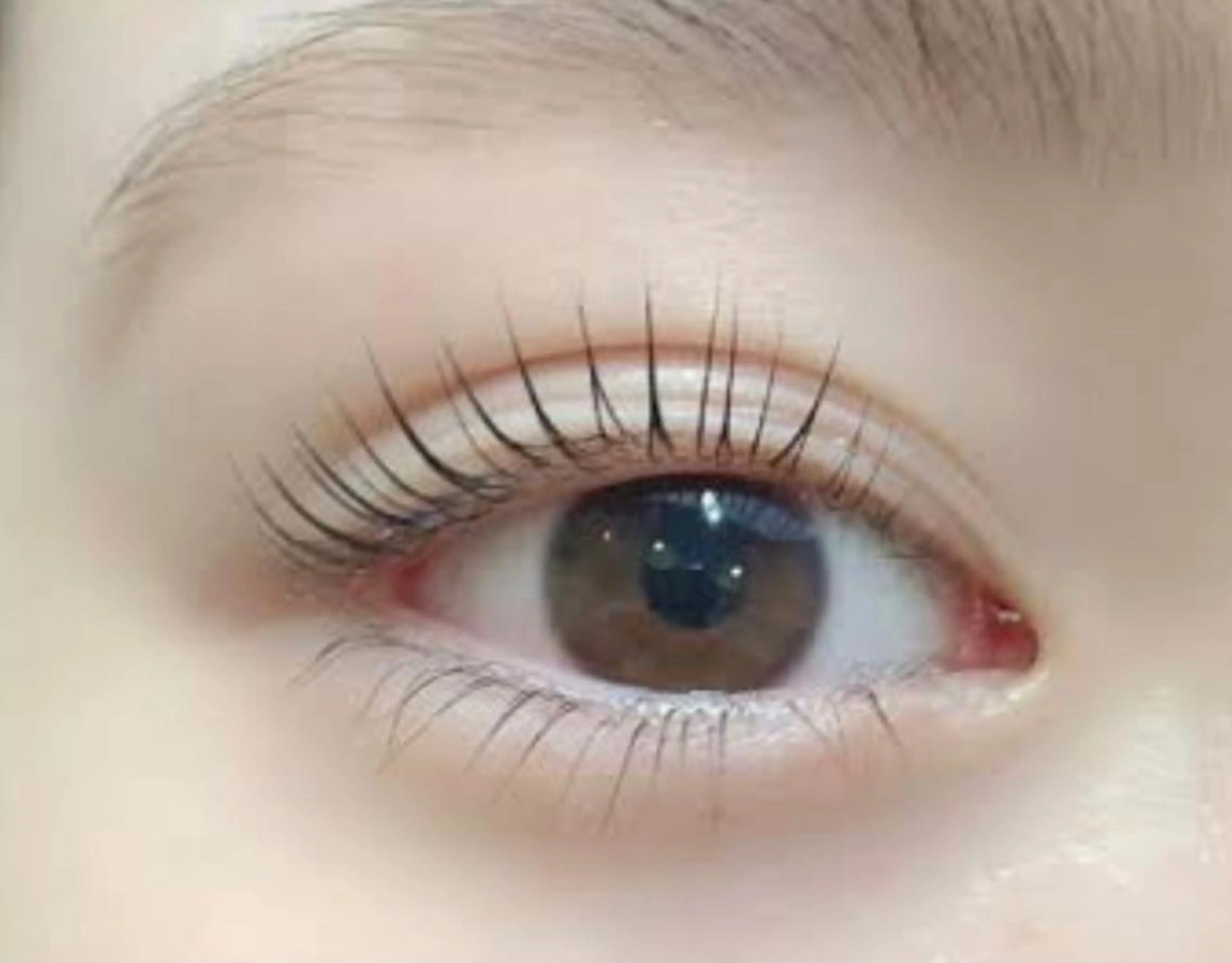 【平日限定】似合わまつ毛パーマ＋コーティング付き4700円🧡の写真