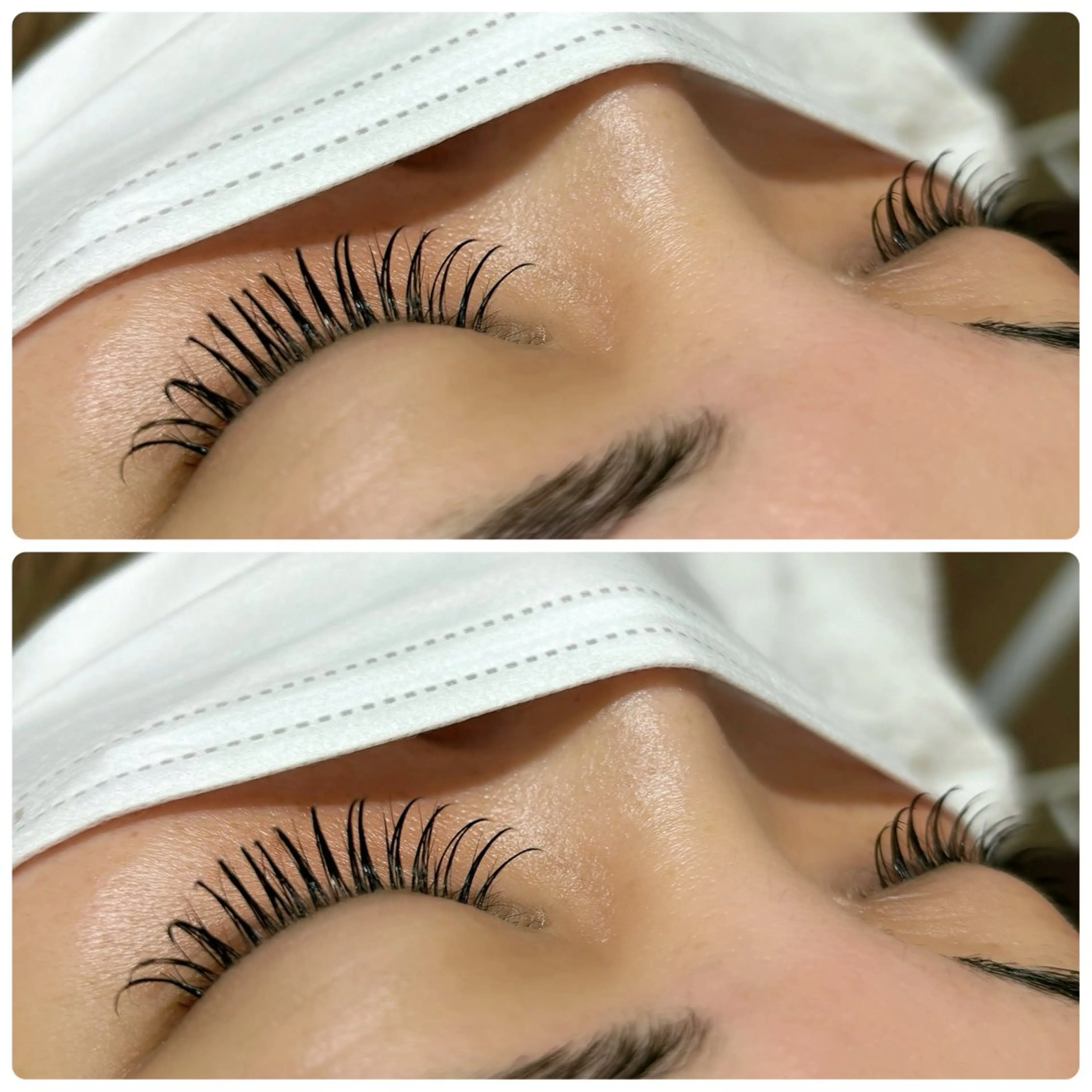 LEDバインドラッシュ60束の写真