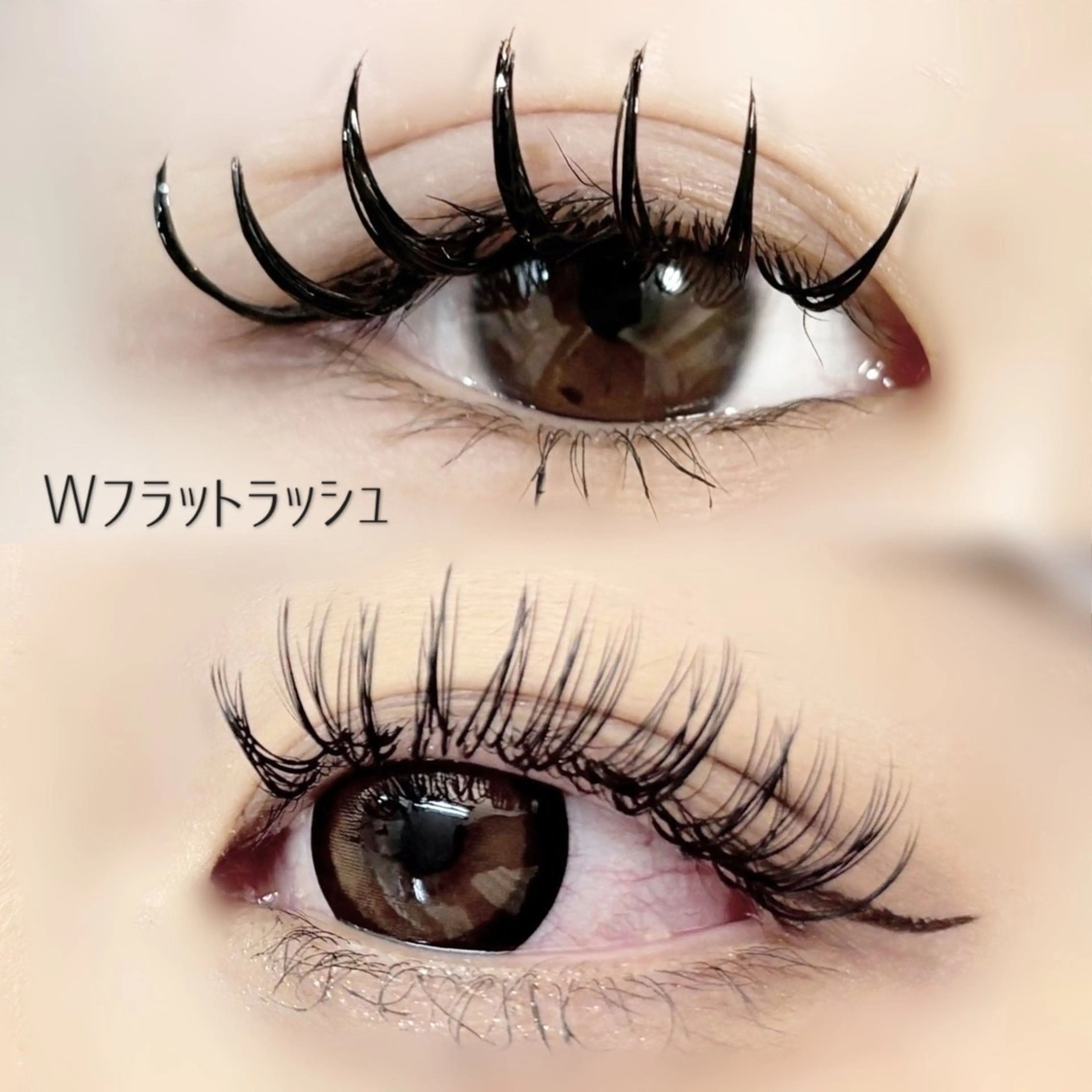 ◆12月SALE◆Wフラットラッシュ80束(160本)オフ込みの写真