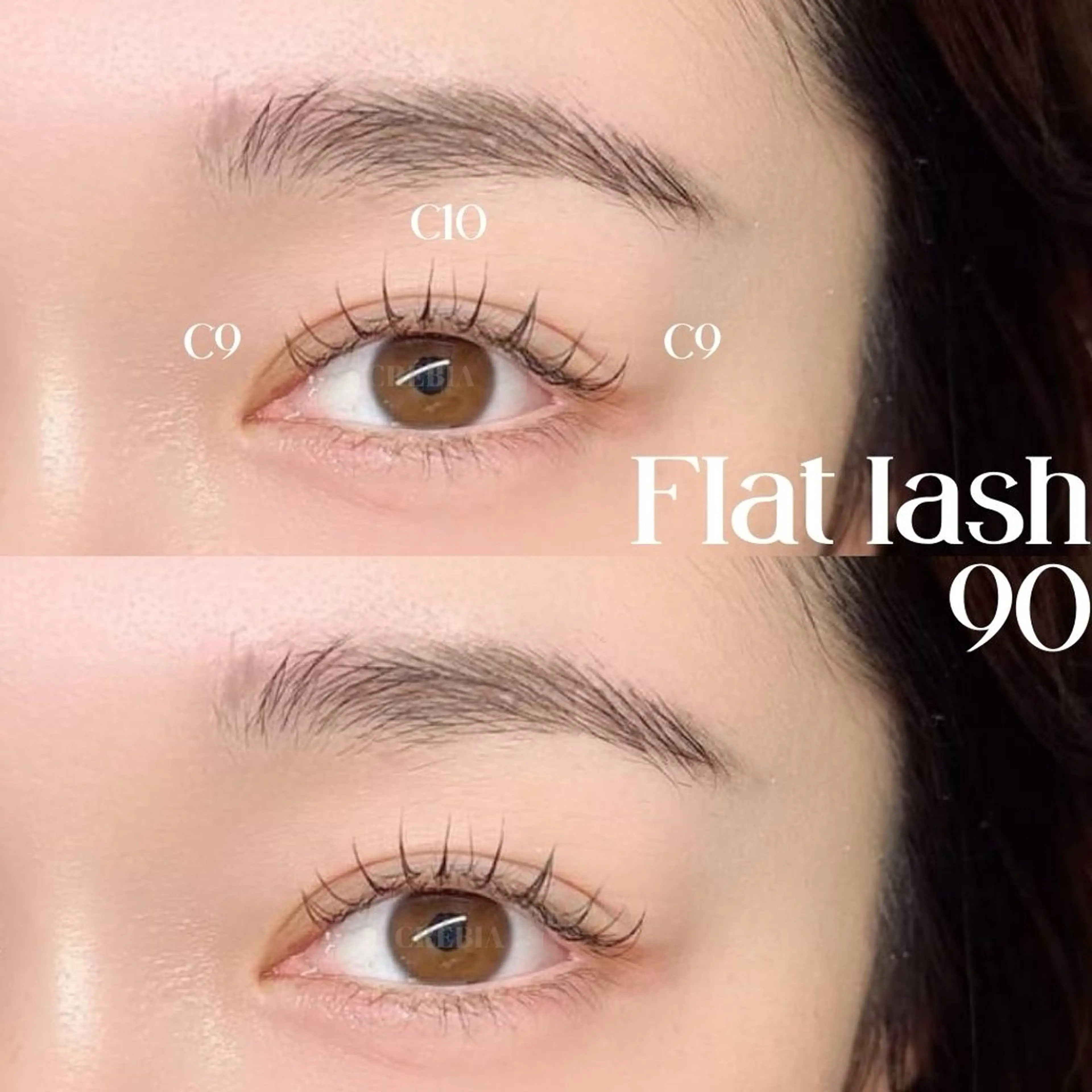 マツエク・マツパ ナチュラル マツエク 🌙mai🌙 パリジェンヌ/眉毛のマツエク・マツパデザイン