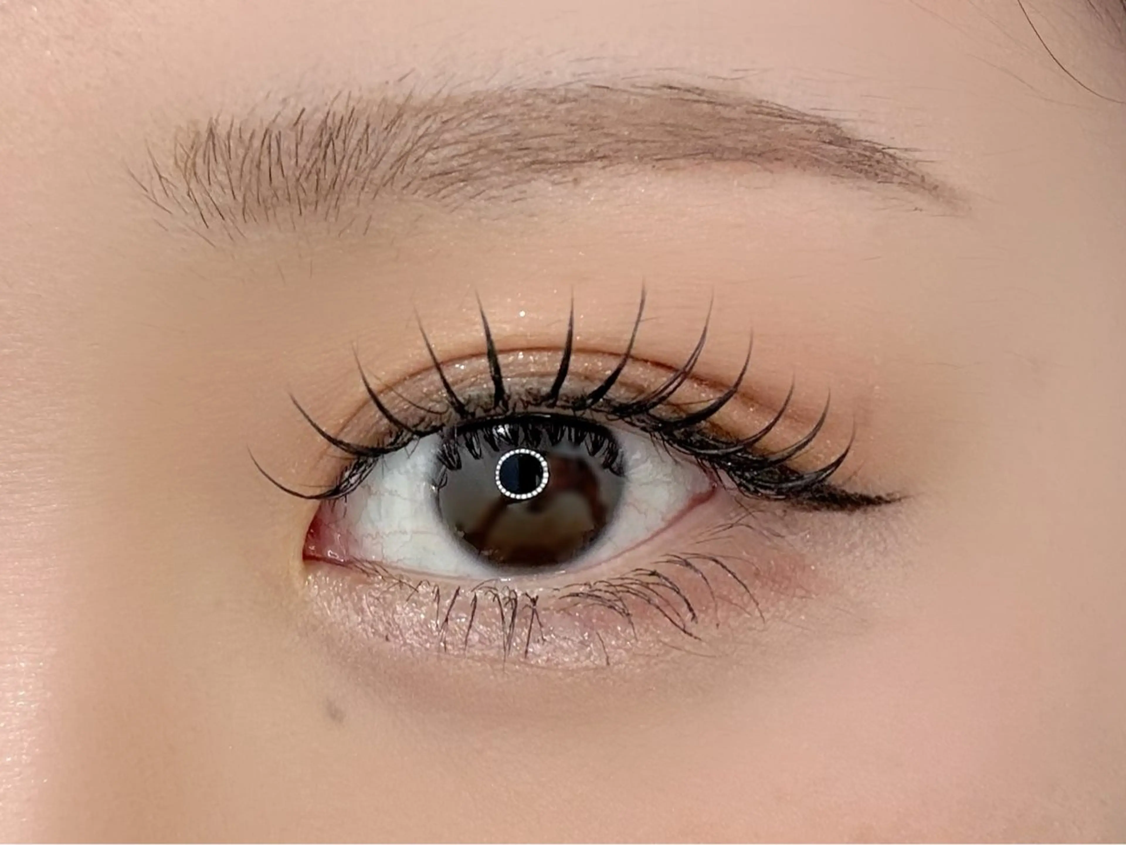 【オフ有り】フラットラッシュ100本🪞マツエク／フラットラッシュ💡LEDに変更＋￥1000の写真