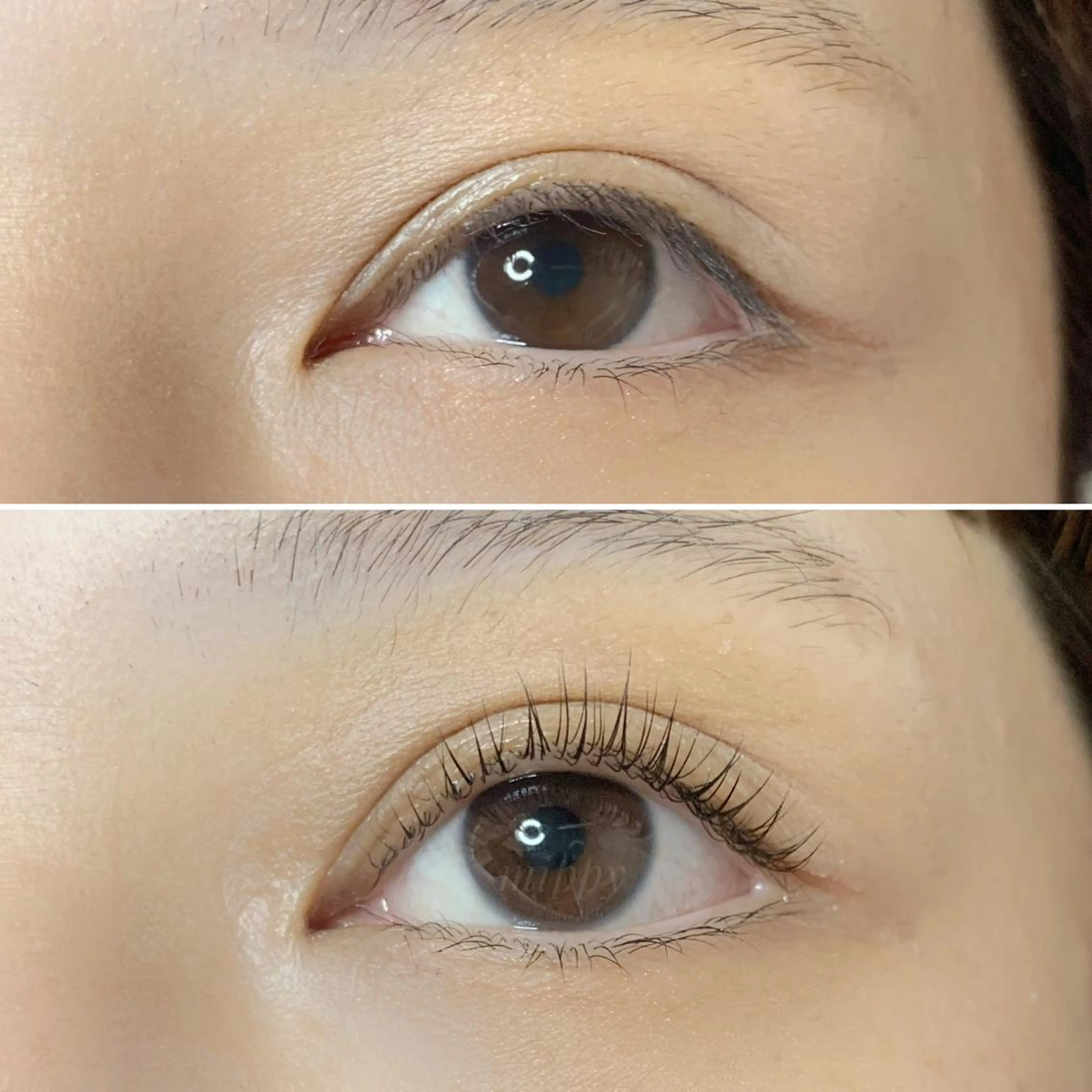 マツエク・マツパ パリジェンヌラッシュリフト ｍｉｐｐｙ 🪽のマツエク・マツパデザイン