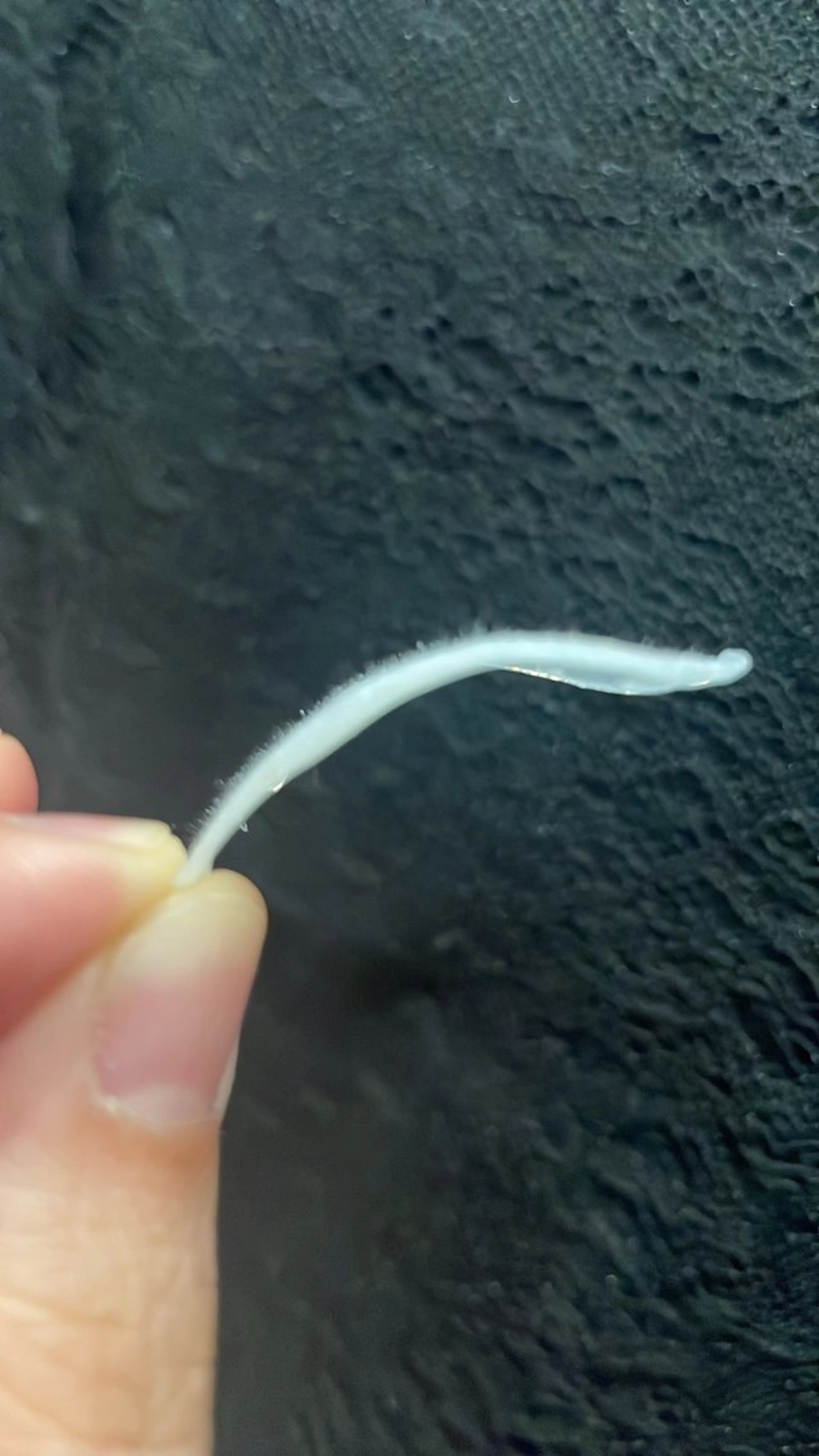 脱毛 LiZA エステティックサロンのエステ・リラクイメージ