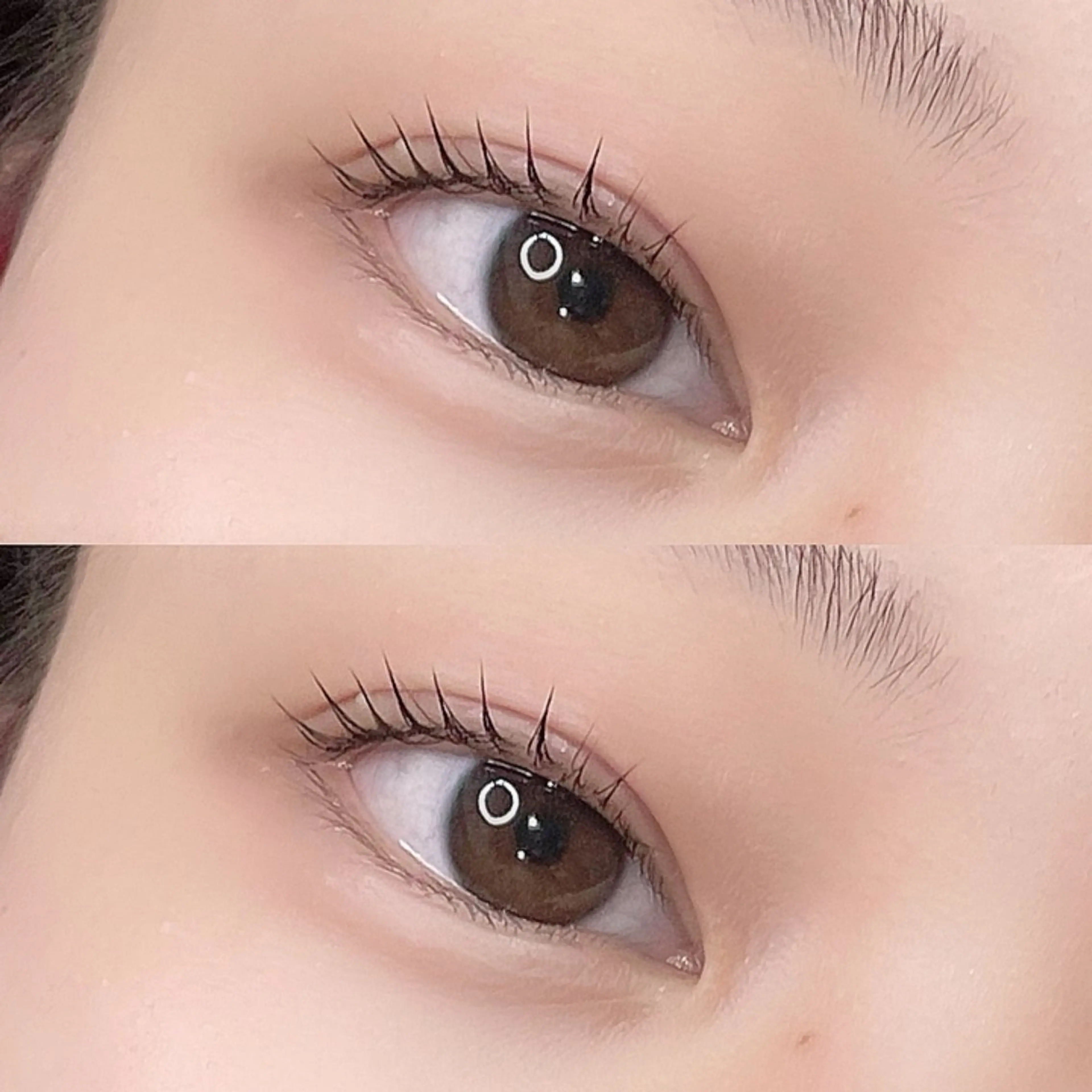 マツエク・マツパ ケラチンラッシュリフト 束感まつ毛 韓国風マツエク まつげパーマ 下まつげエクステ マツパ rei /meme まつパ アイブロウのマツエク・マツパデザイン