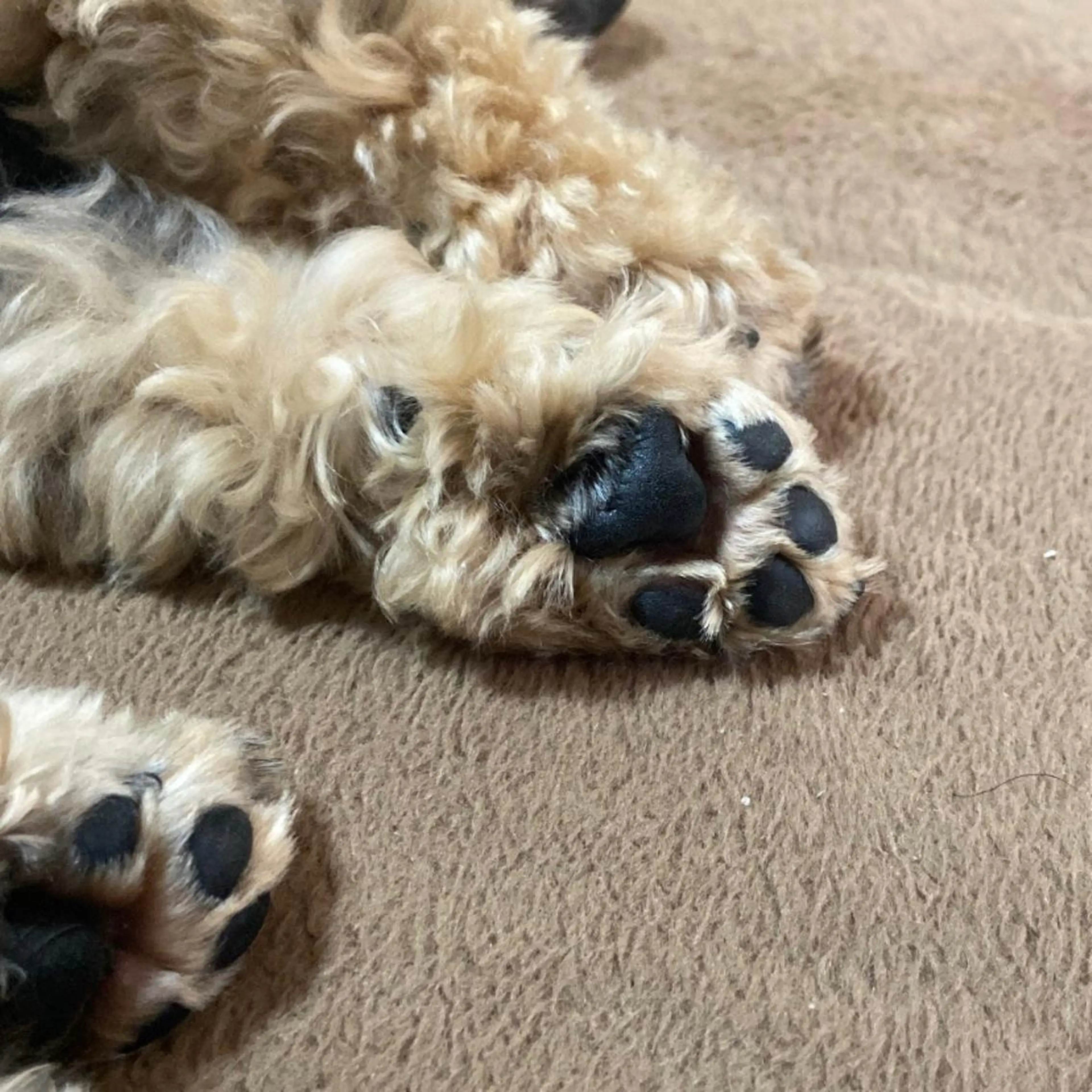 TIDEHAIR SHIHOのヘアスタイル