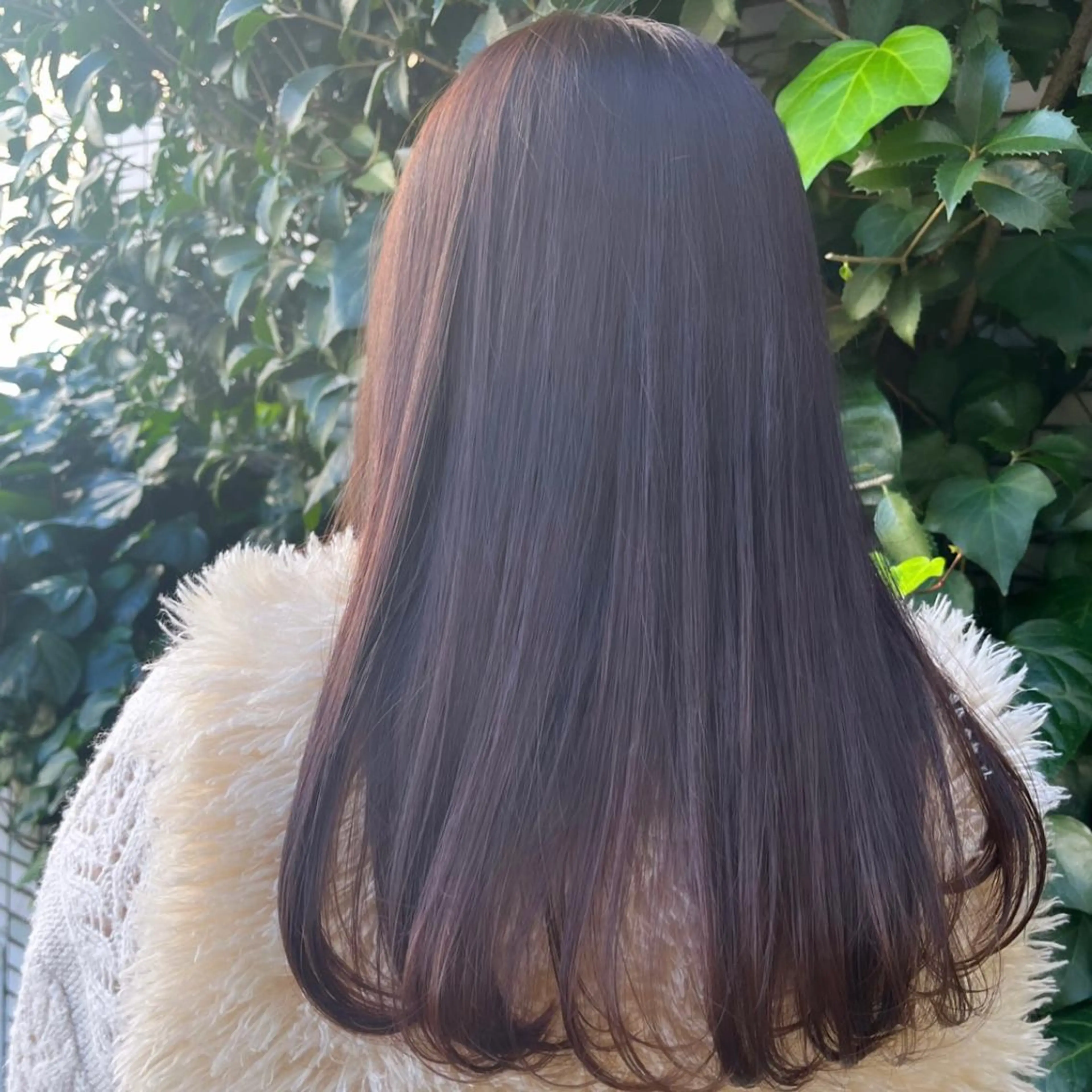 本日限定🌷カット＋全体カラーの写真