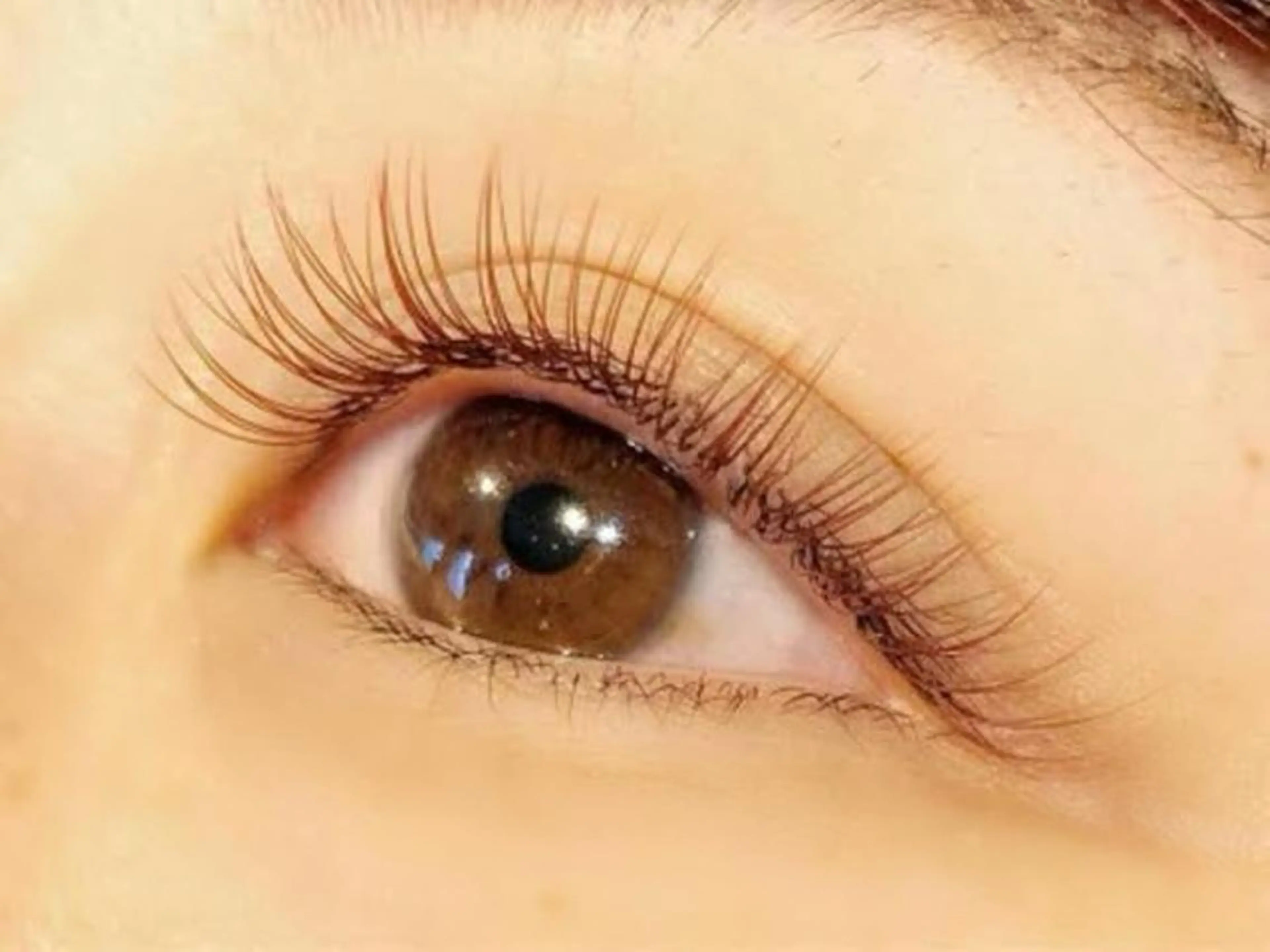 マツエク・マツパ カラーマツエク フラットラッシュ 江頭 幸子のマツエク・マツパデザイン