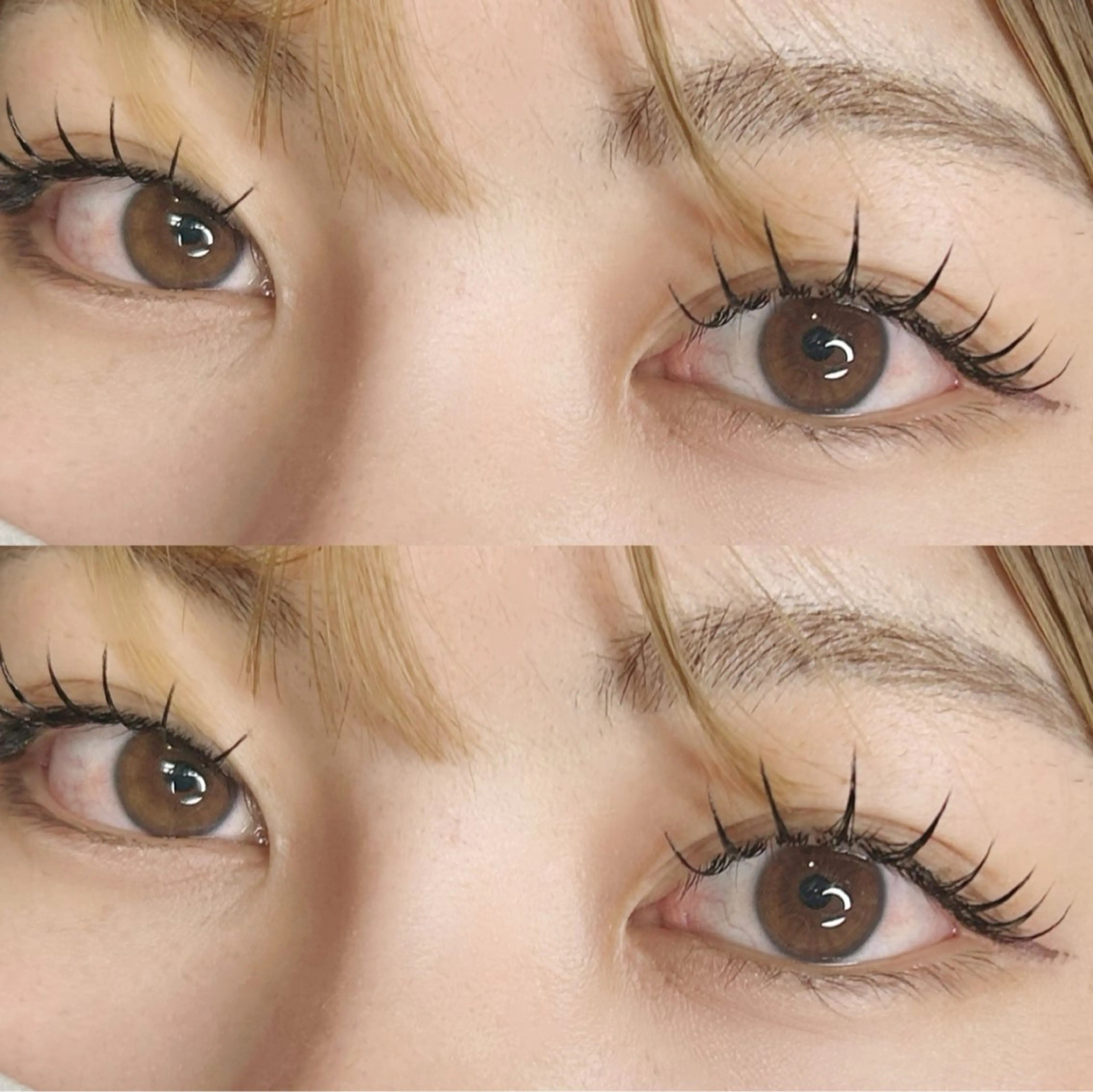 マツエク・マツパ マツエク Luana- Hale.36のマツエク・マツパデザイン