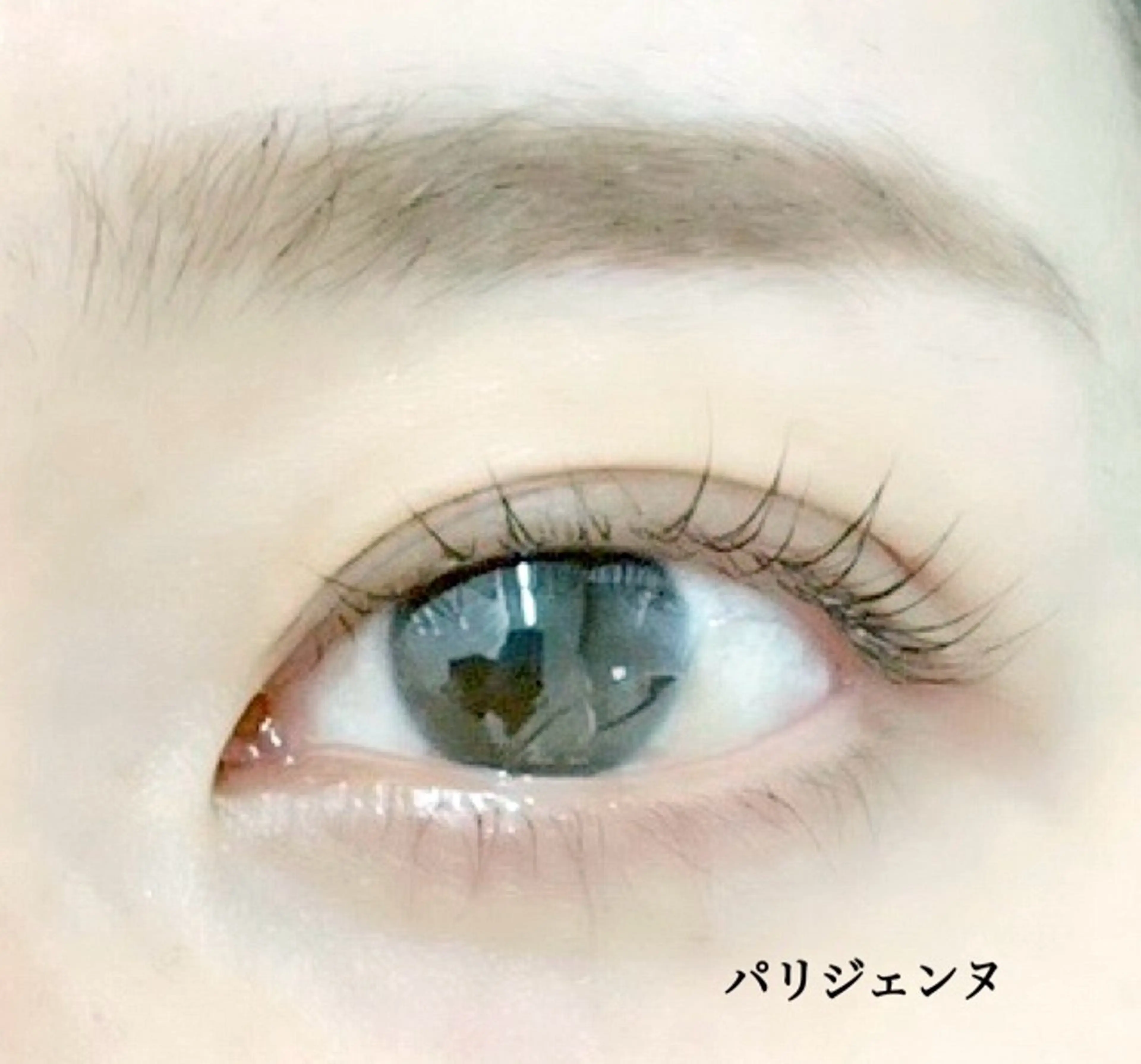 マツエク・マツパ パリジェンヌラッシュリフト Genesis Plus大津京店のエステ・リラクイメージ