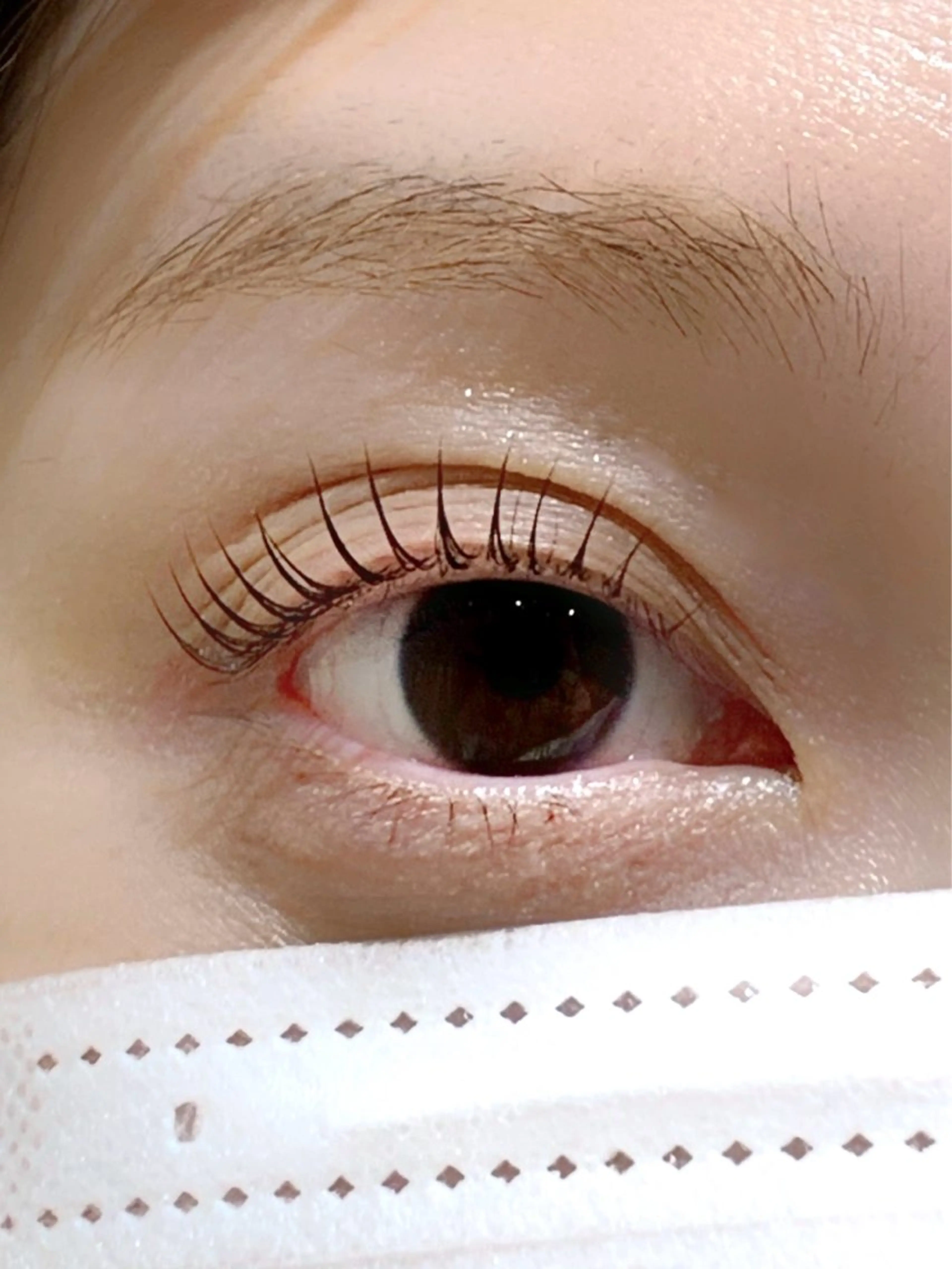 パリジェンヌラッシュリフト、まつ毛パーマ(アイシャンプー付き)👀✨の写真