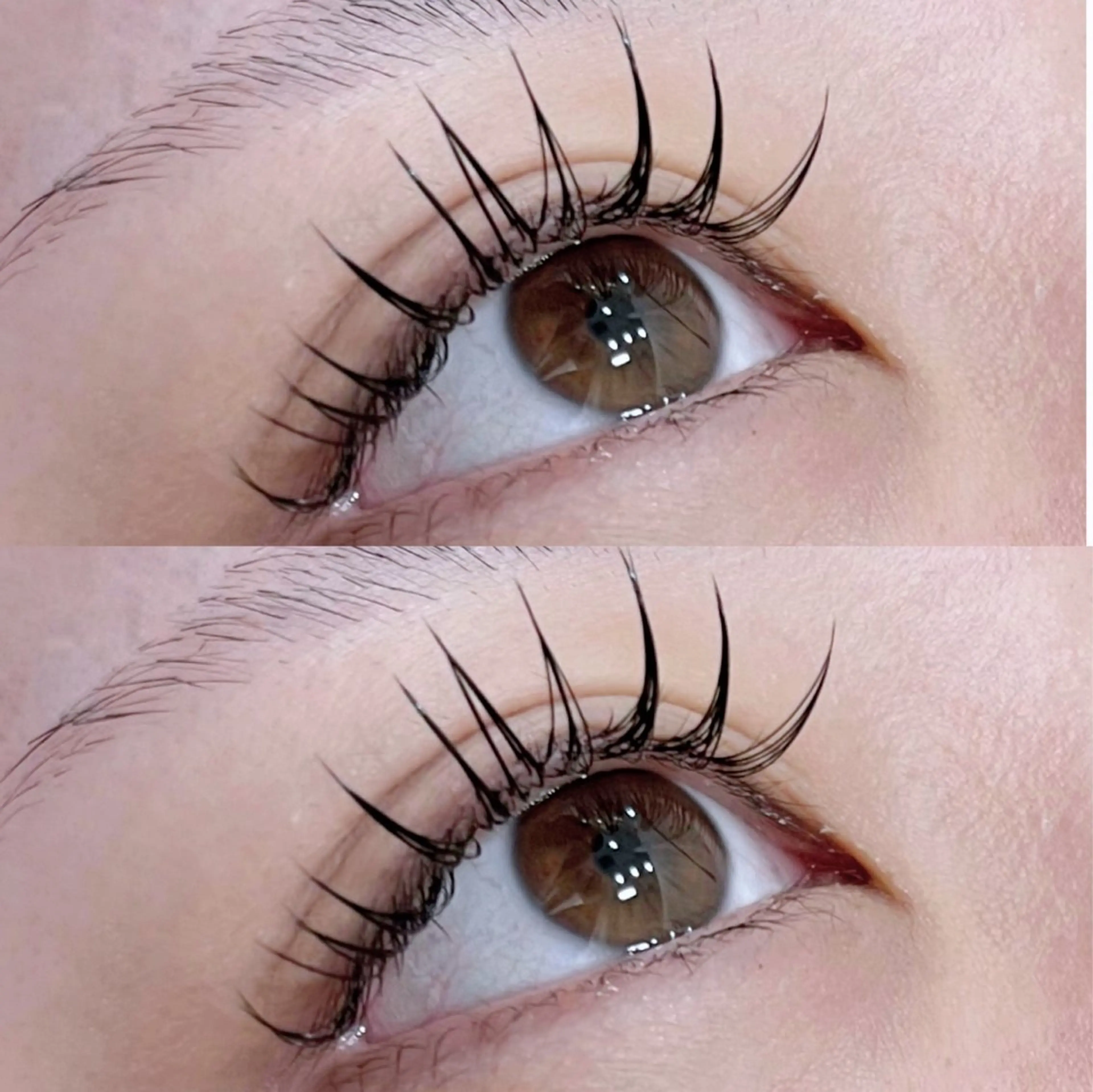 🦋マツエク120~140本🦋オフあり🎀フラットラッシュ🎀LED+¥500の写真