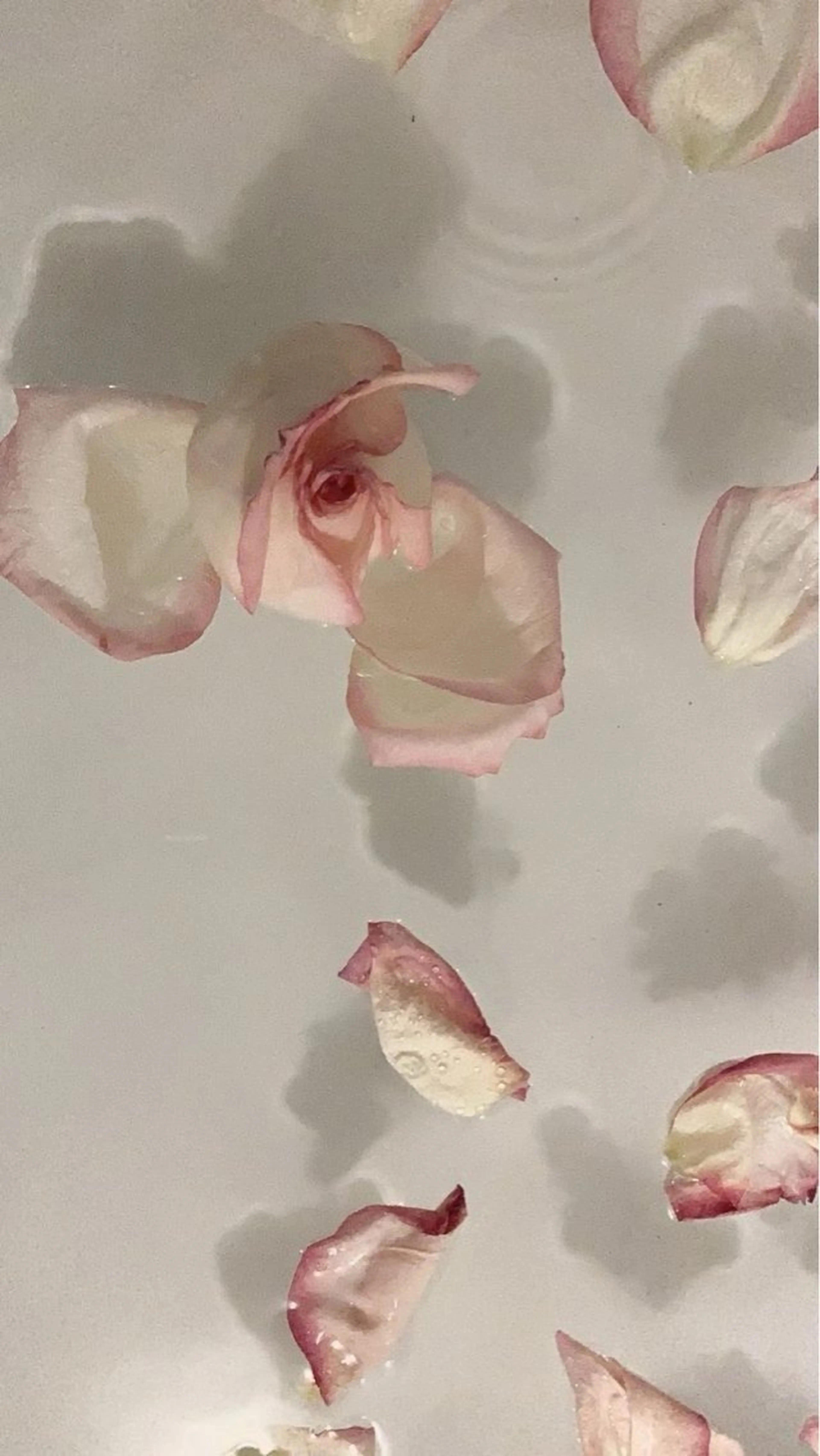 マツエク・マツパ ルクール亀貝店 齋藤のマツエク・マツパデザイン