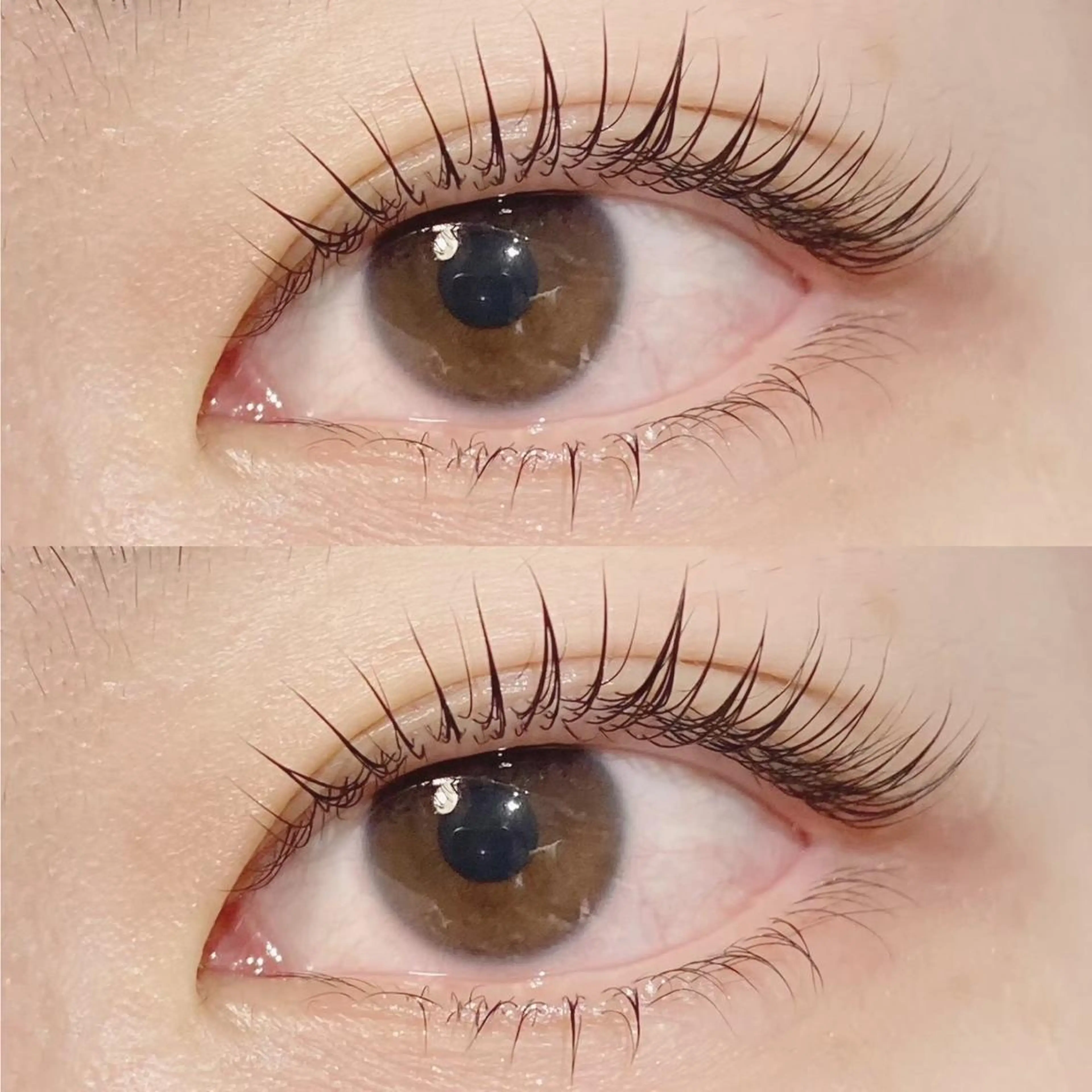 平日限定🩰パリジェンヌラッシュリフトの写真