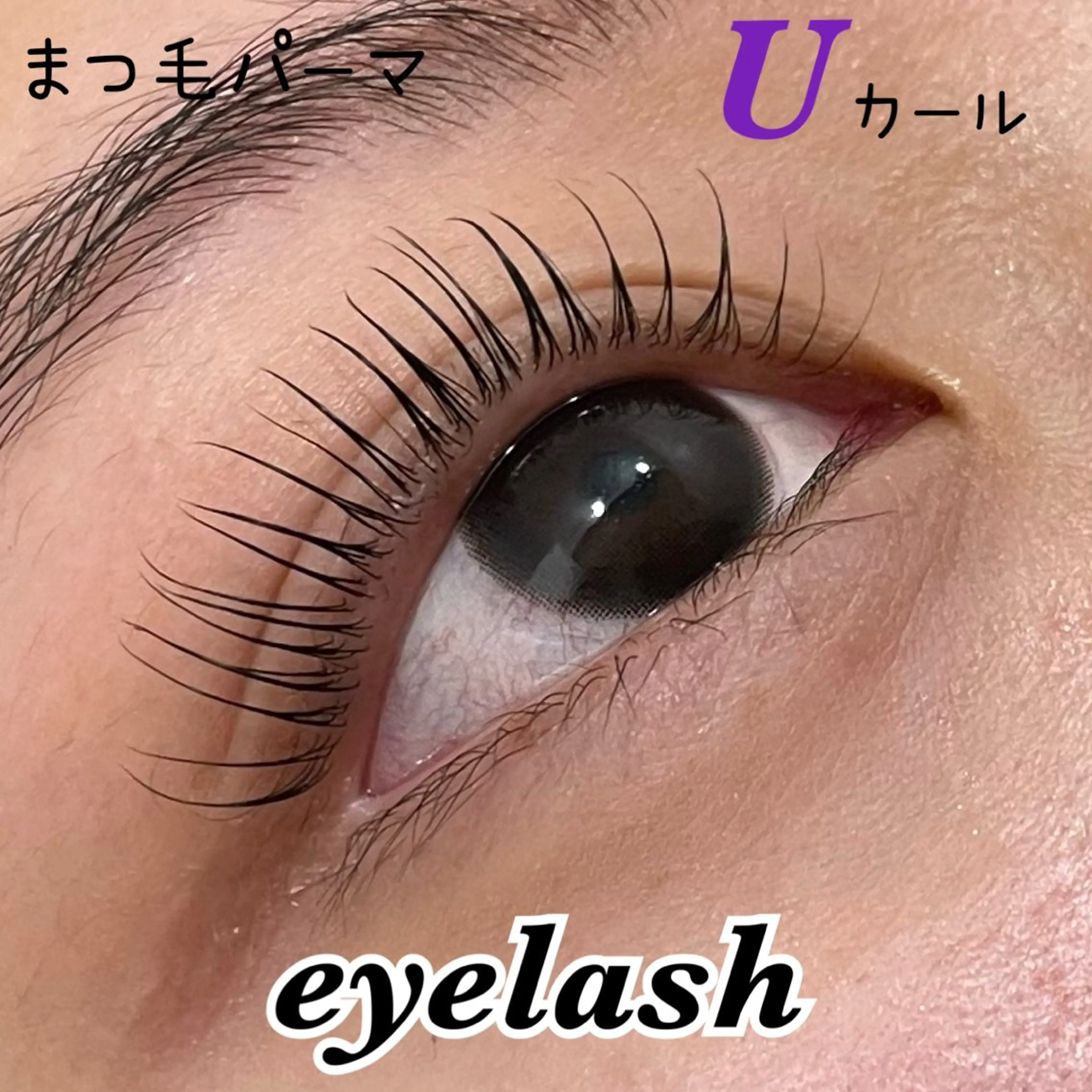 🫧ラッシュリフトorパリジェンヌ🕊の写真