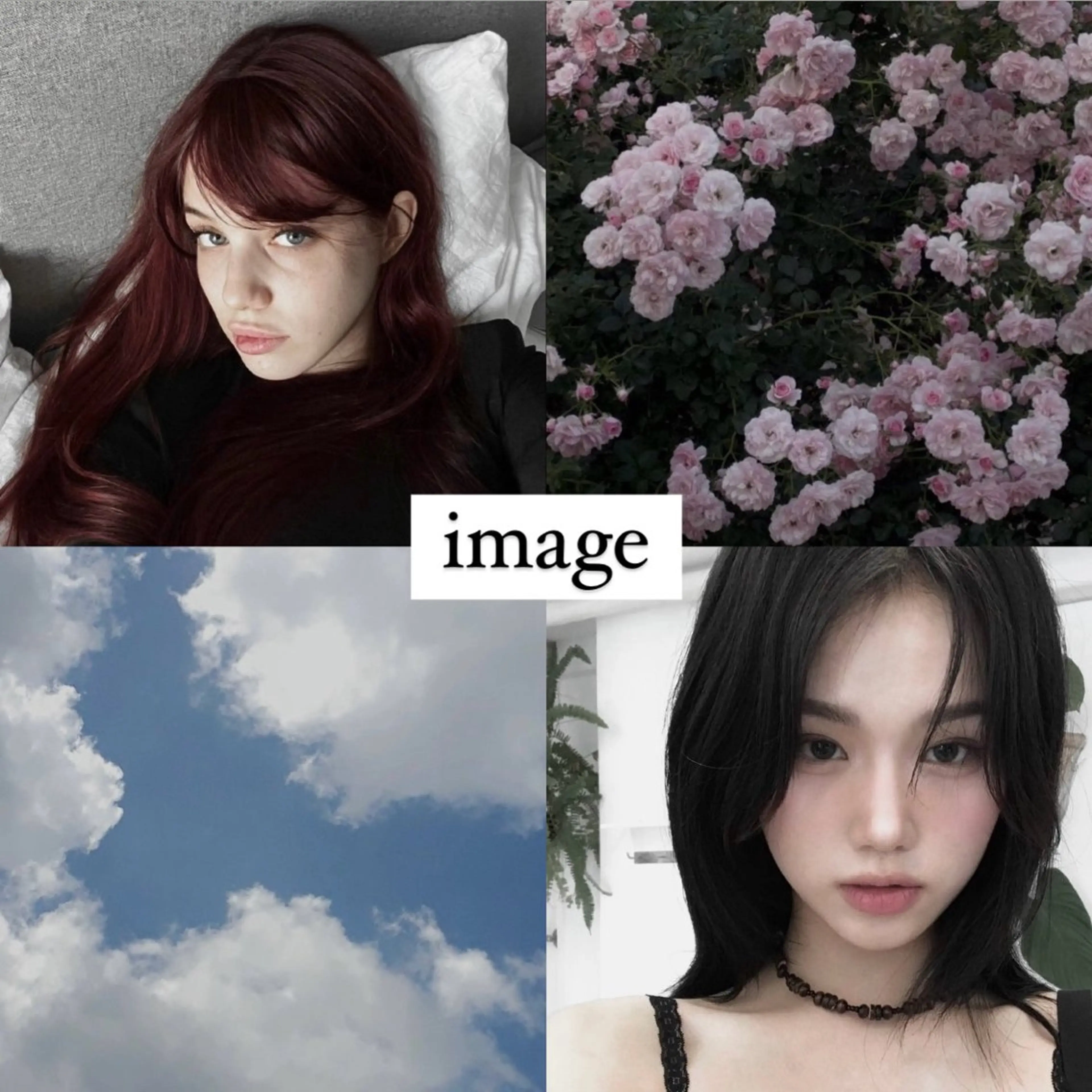 ワンカラー💐の写真