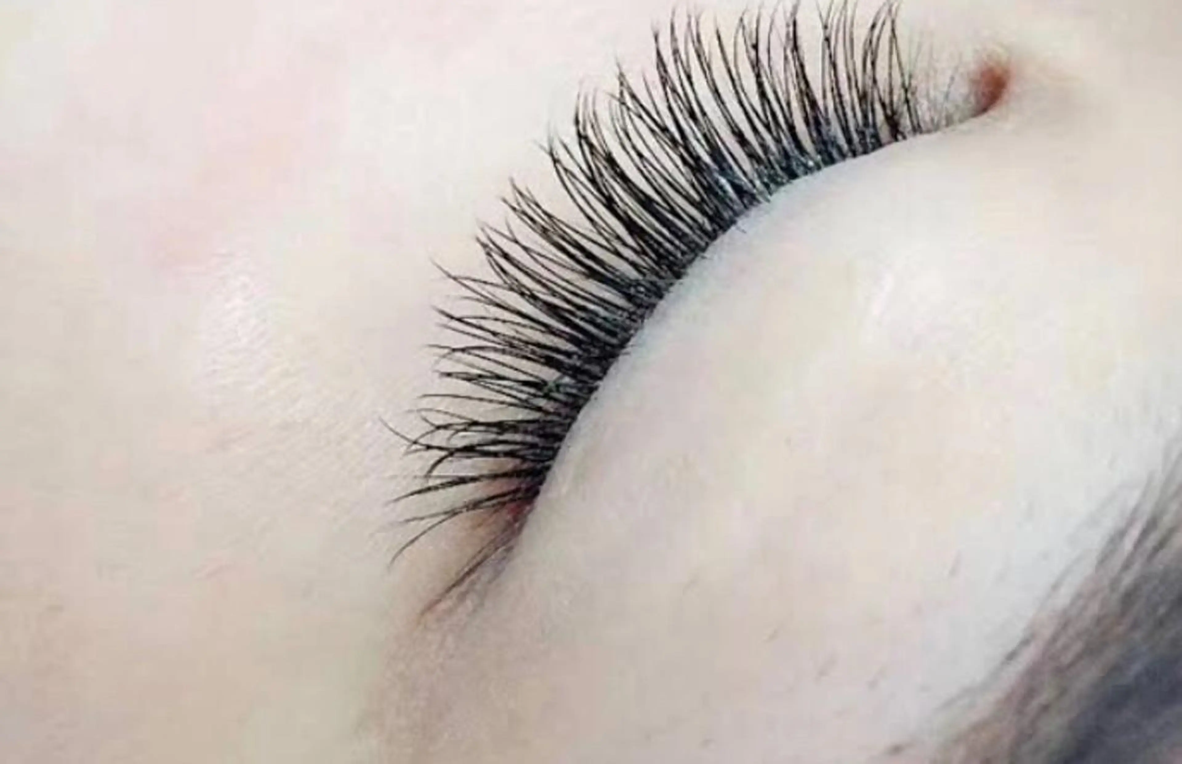 セイブル付け放題の写真