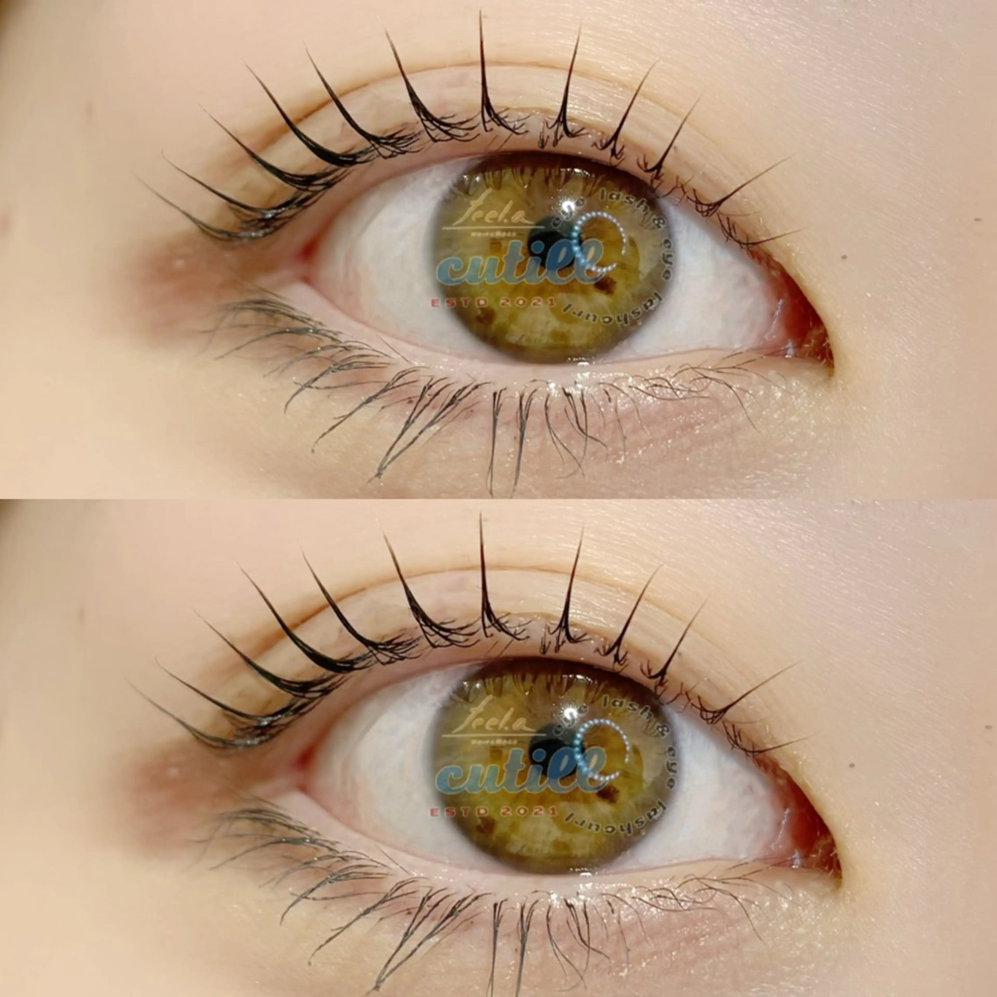 年末限定【9時​〜​18時】シャンプー&tr付き まつ毛パーマの写真