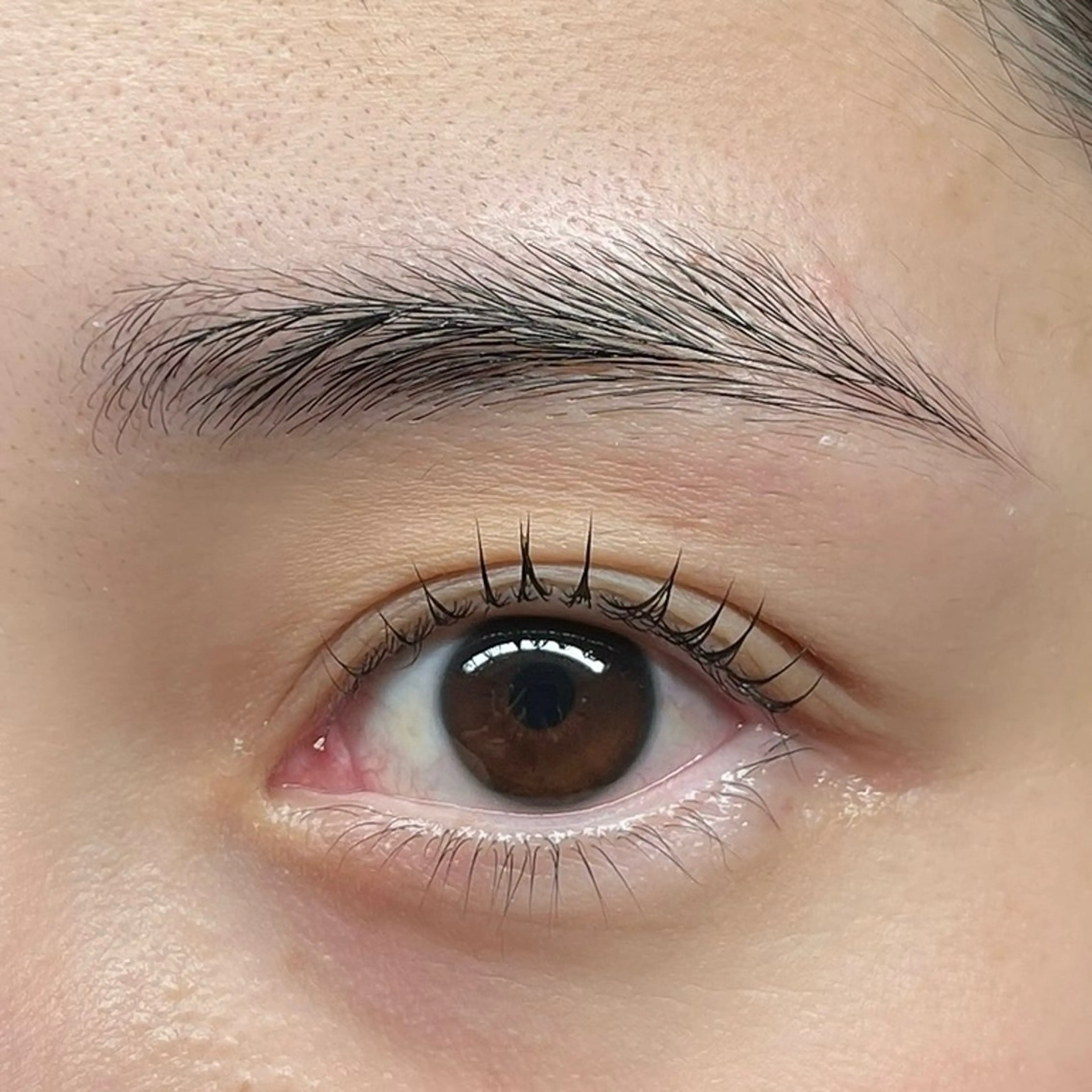 セットでお得に！まつ毛パーマ&まゆ毛パーマセット🖤の写真