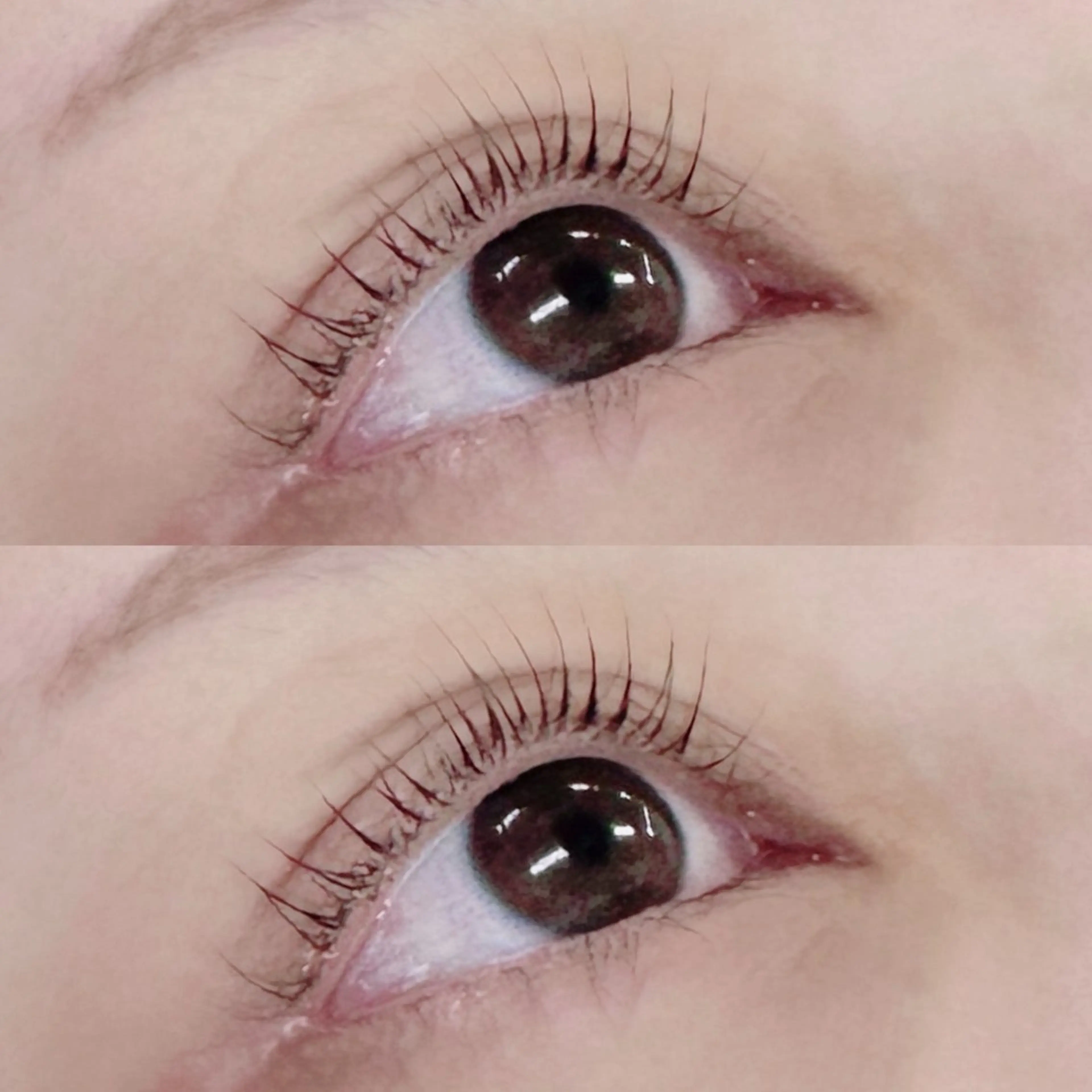 マツエク・マツパ TRU NAIL&EYE上野店所属・TRU🦖 RIONA✮*｡ﾟのマツエク・マツパデザイン