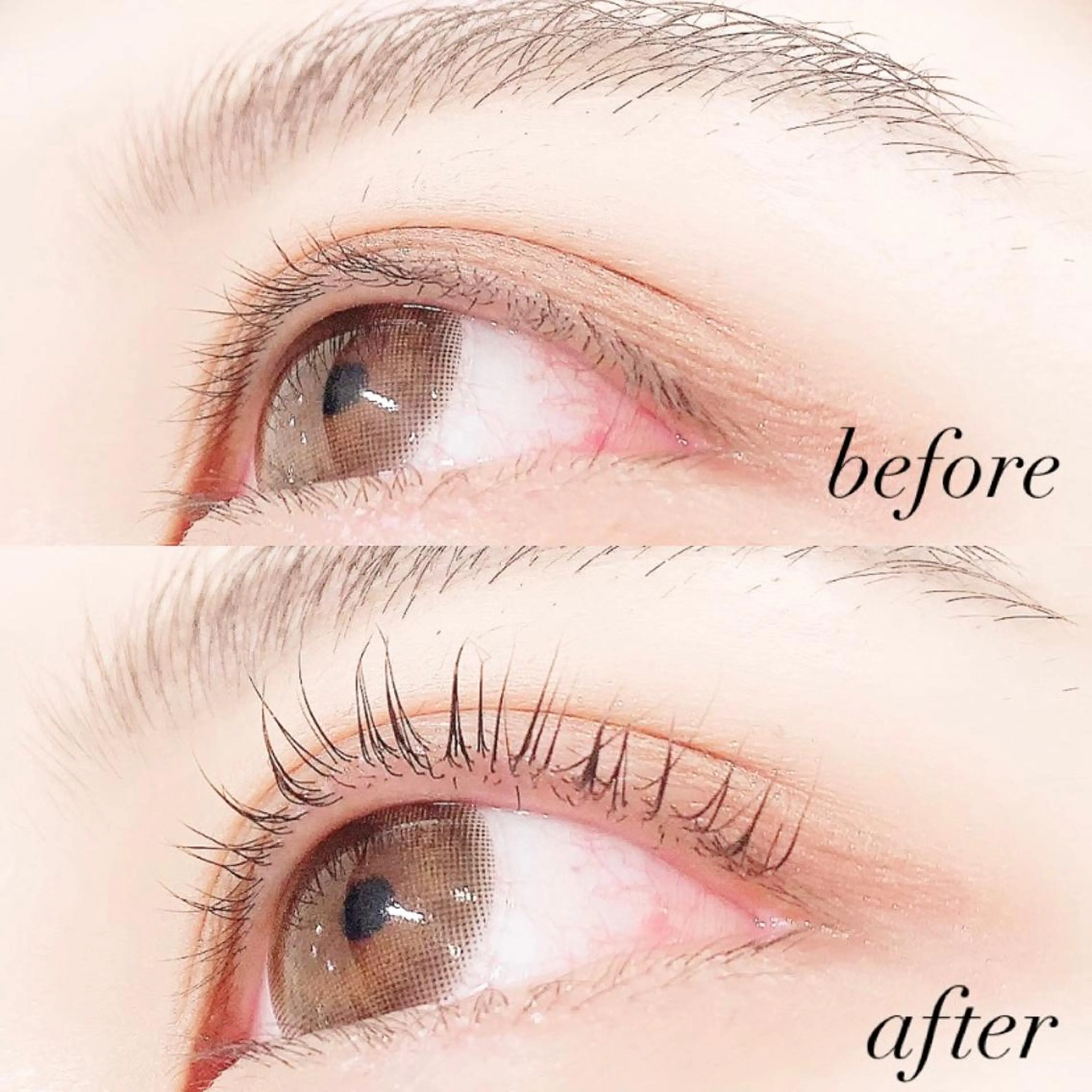 マツエク・マツパ 一重×まつ毛パーマ Lanhr所属・【Lanhr】 🕊aya🕊のマツエク・マツパデザイン