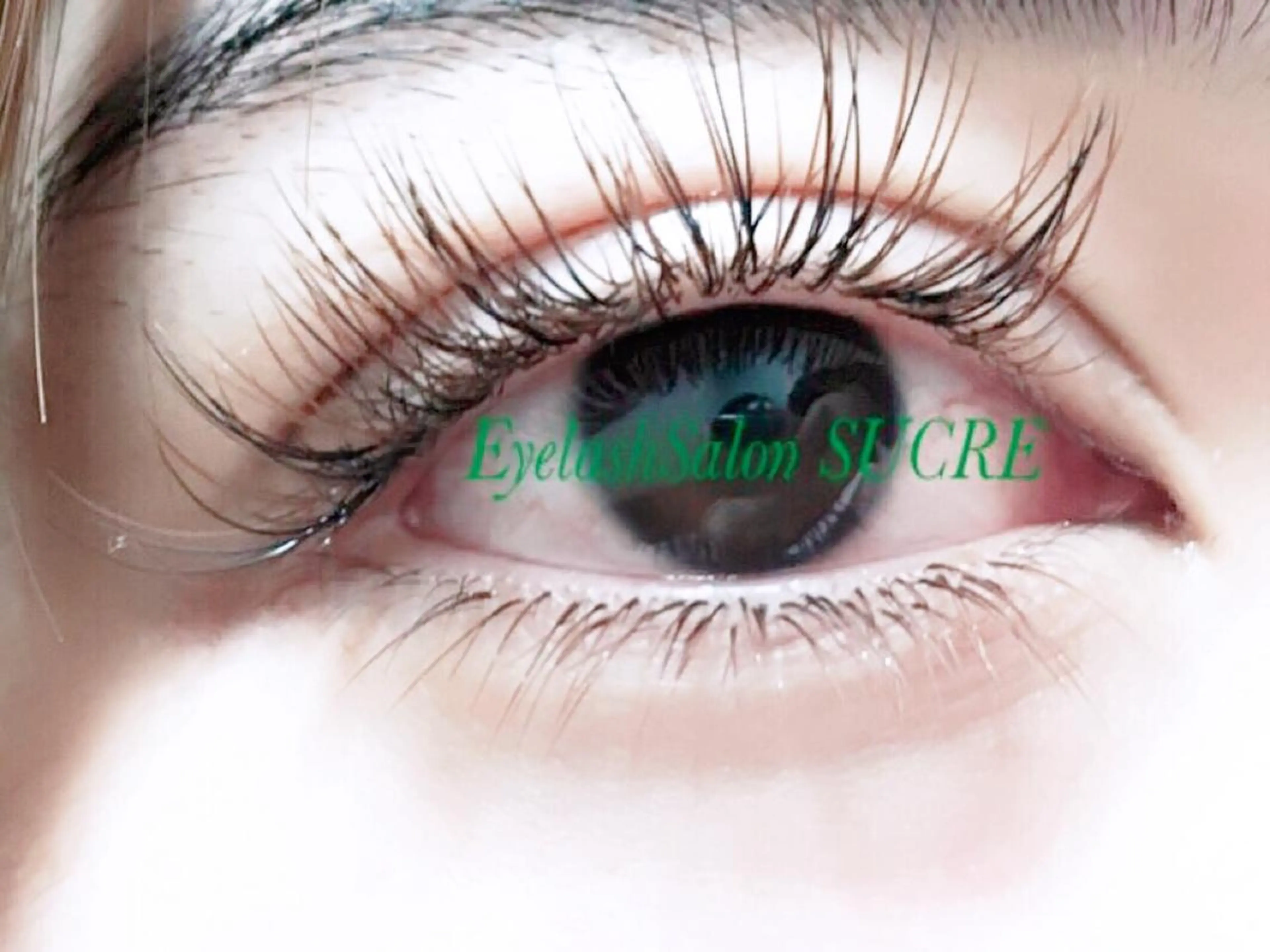 マツエク・マツパ 付け放題 下まつげエクステ EyelashSalon Liz.&所属・Liz.&現ino 平田のマツエク・マツパデザイン