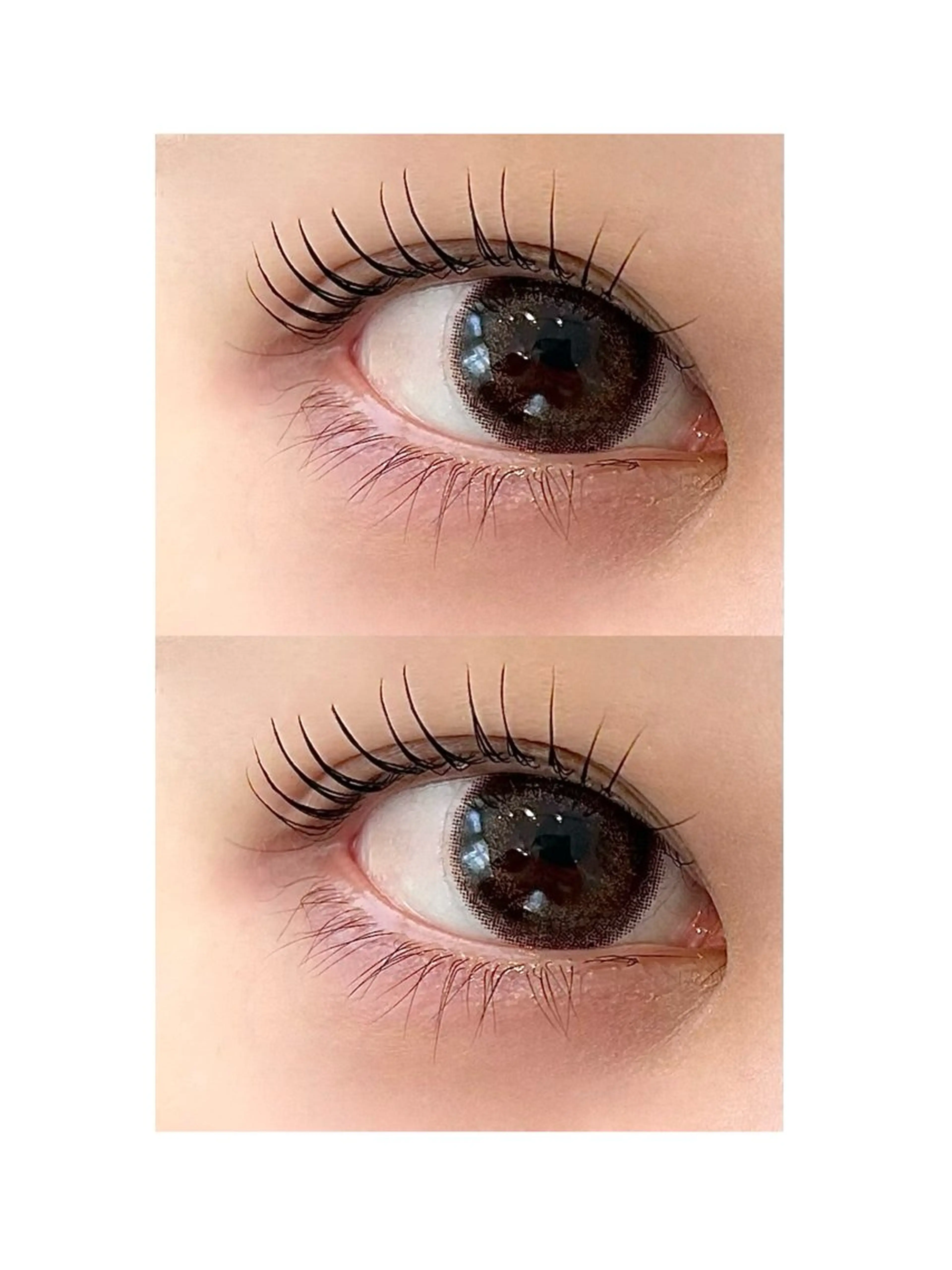 【⭐️SPコース】【新規】ラッシュアディクトサロンケア +まつげパーマ¥6,750の写真