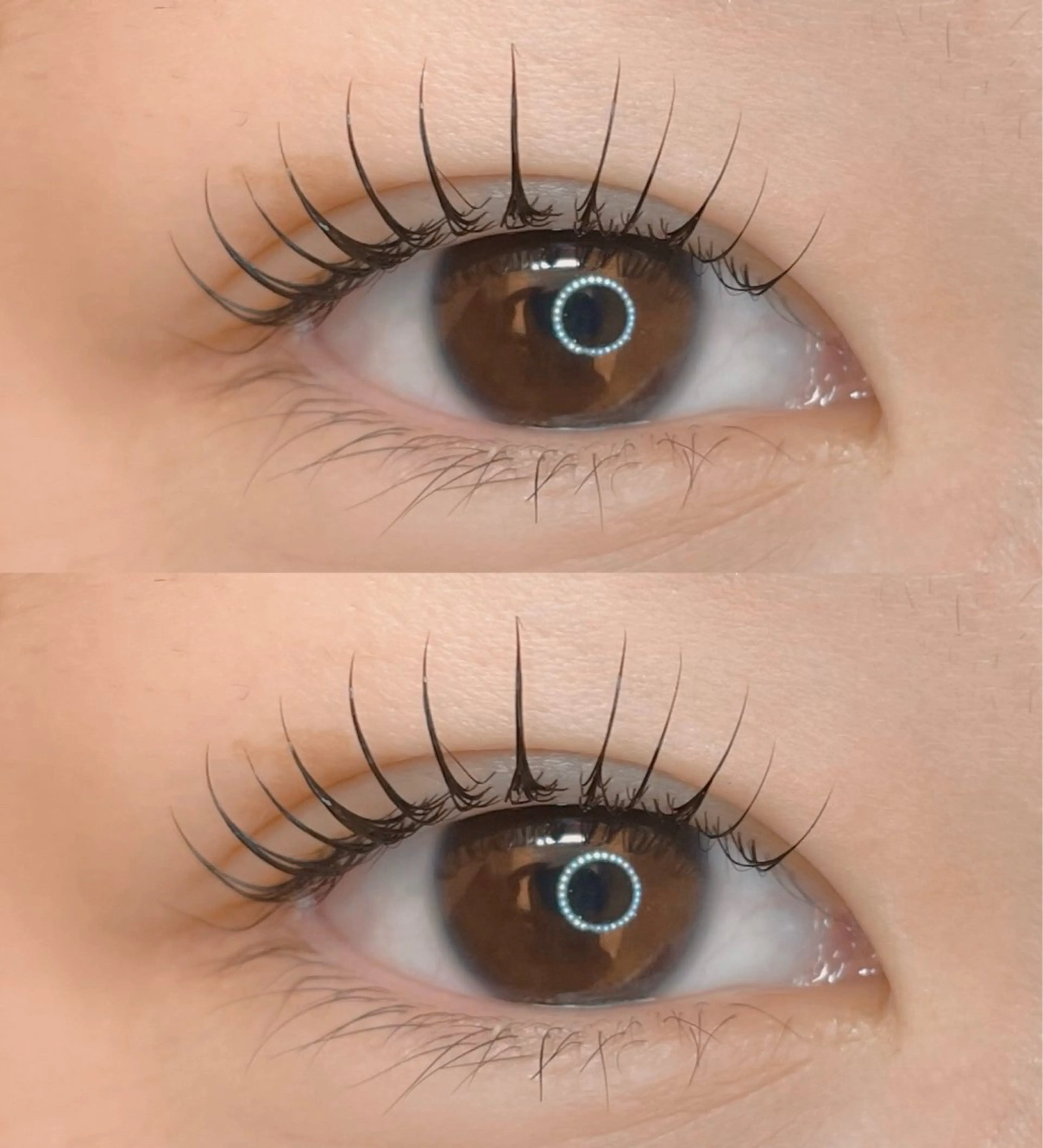 ✨12月15日限定.まつげパーマ✨ コーティング仕上げ🫧の写真