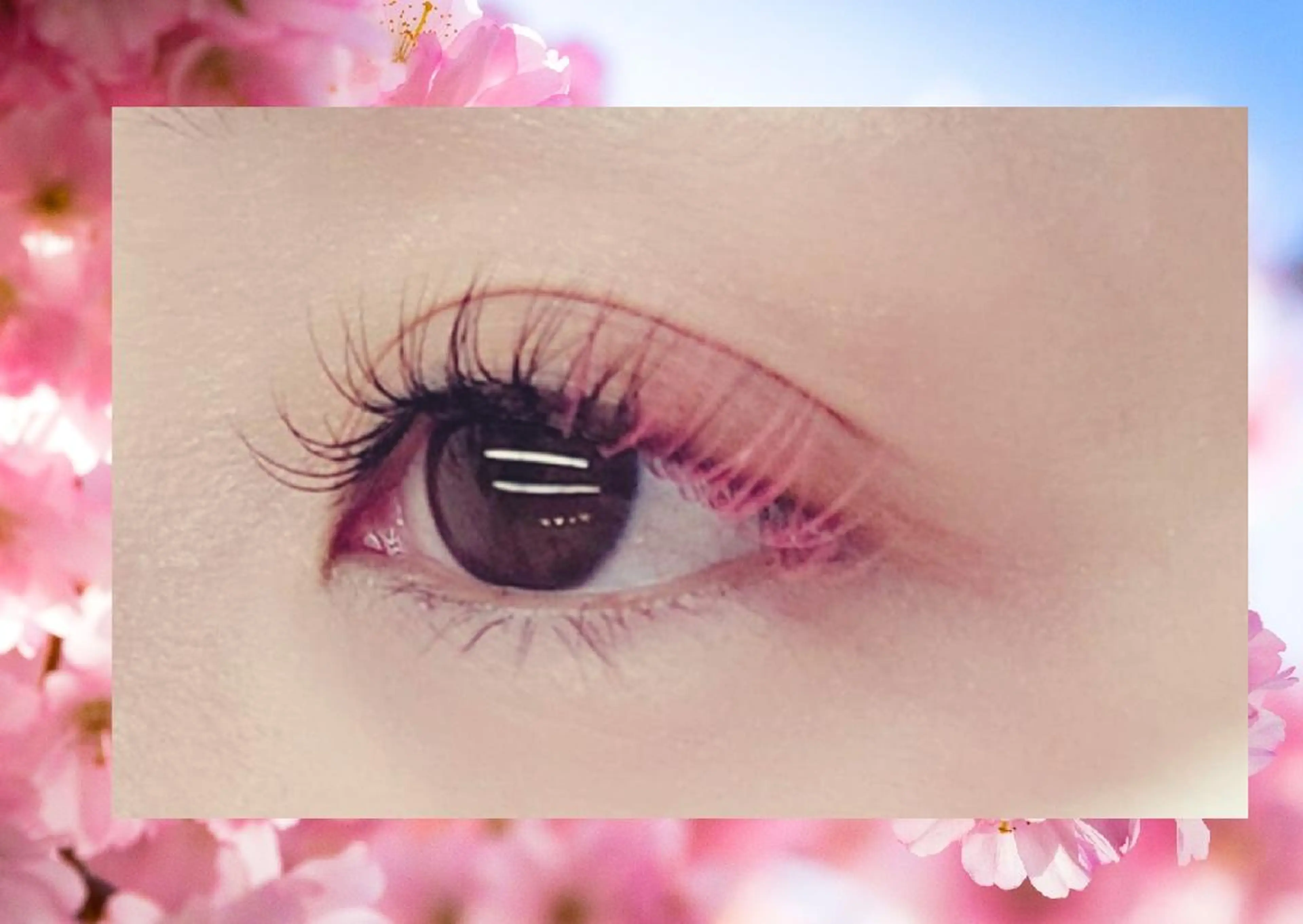 マツエク・マツパ 家中美沙子（ALCIONE）所属・ALCIONE 那珂川市のマツエク・マツパデザイン