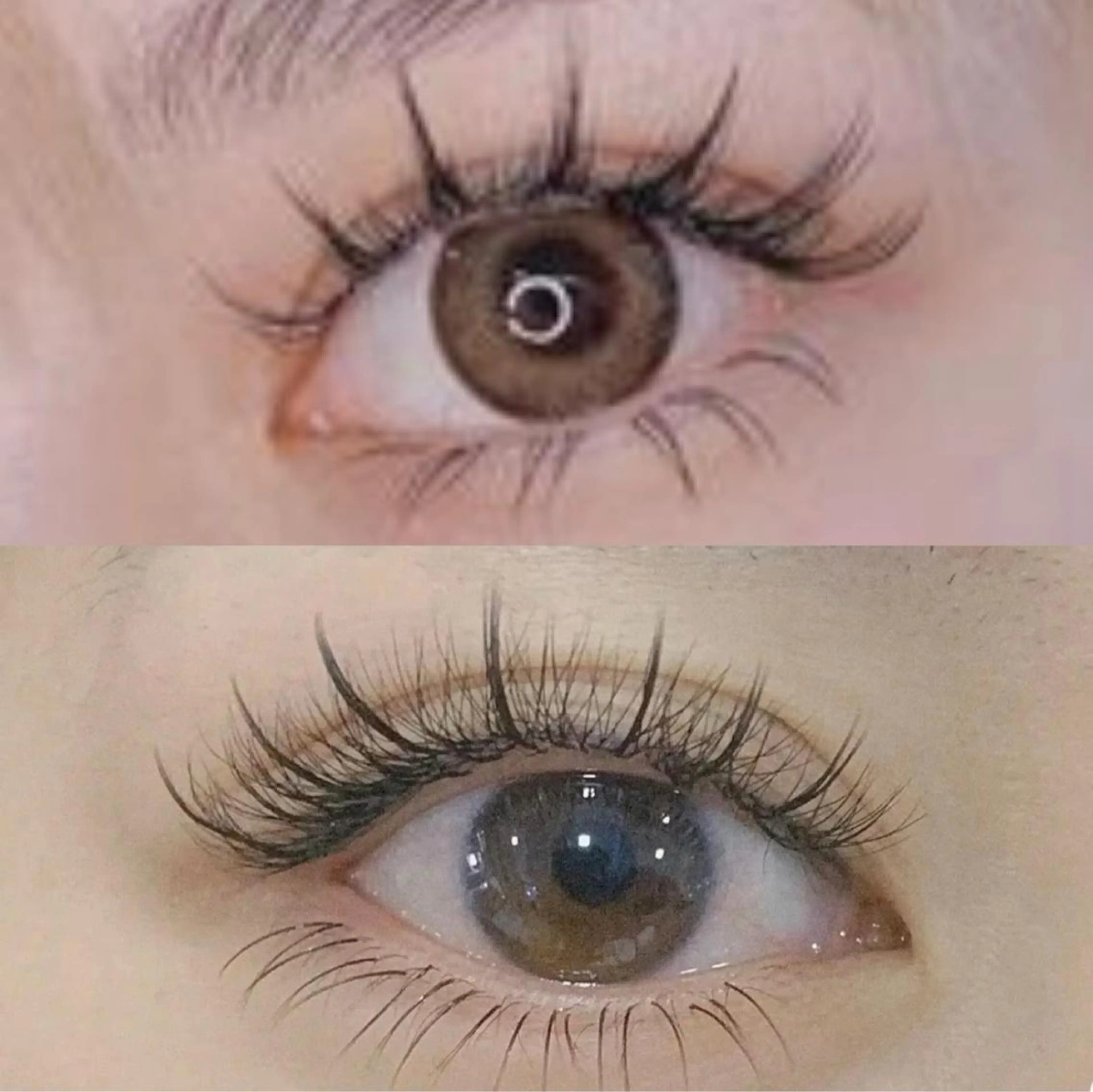 マツエク・マツパ ワンホンマツエク Eye beauty Paradiseのマツエク・マツパデザイン