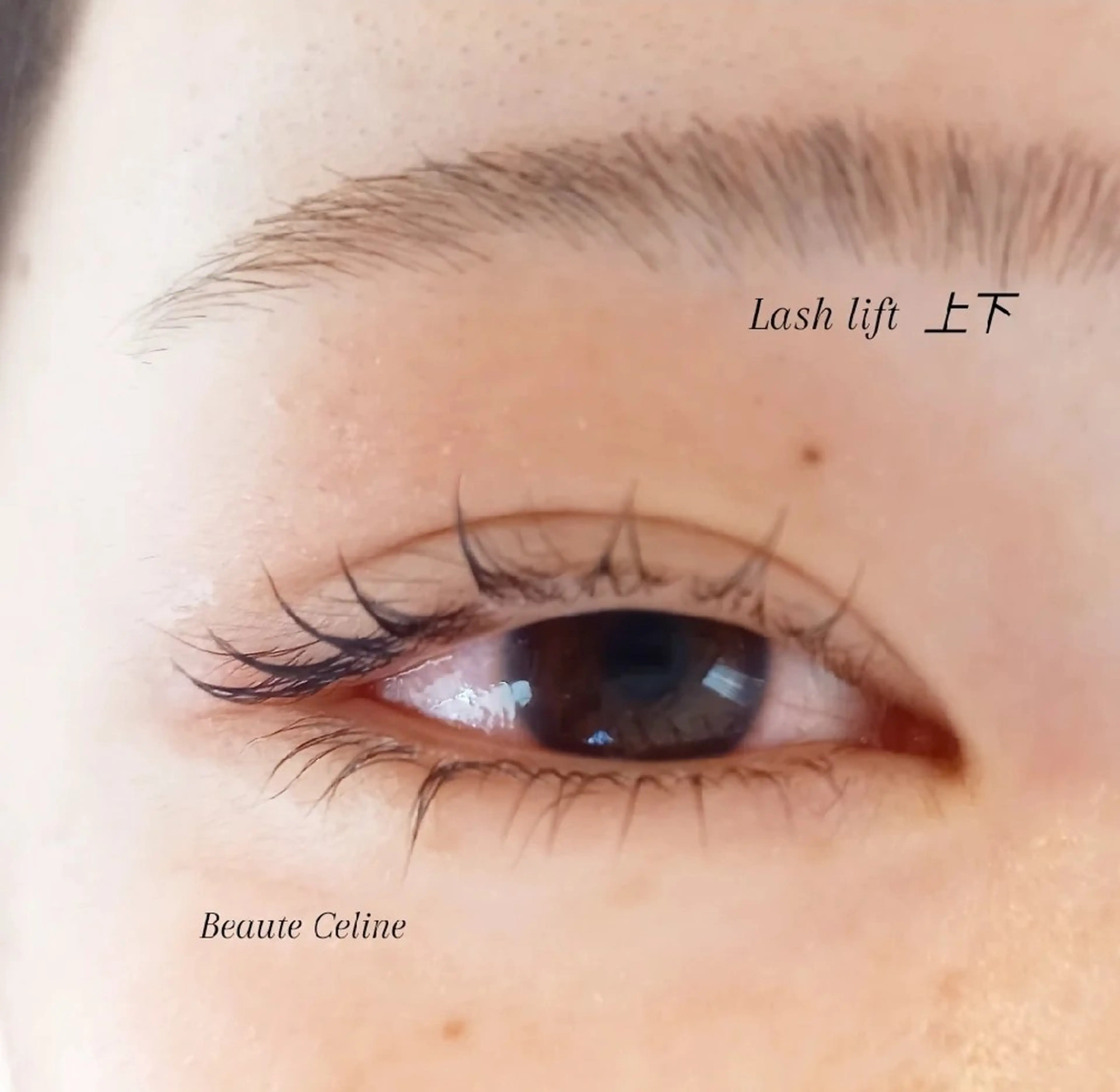 マツエク・マツパ マツパ beaute.celine所属・8時～✨beaute Celine🌛🌹のマツエク・マツパデザイン