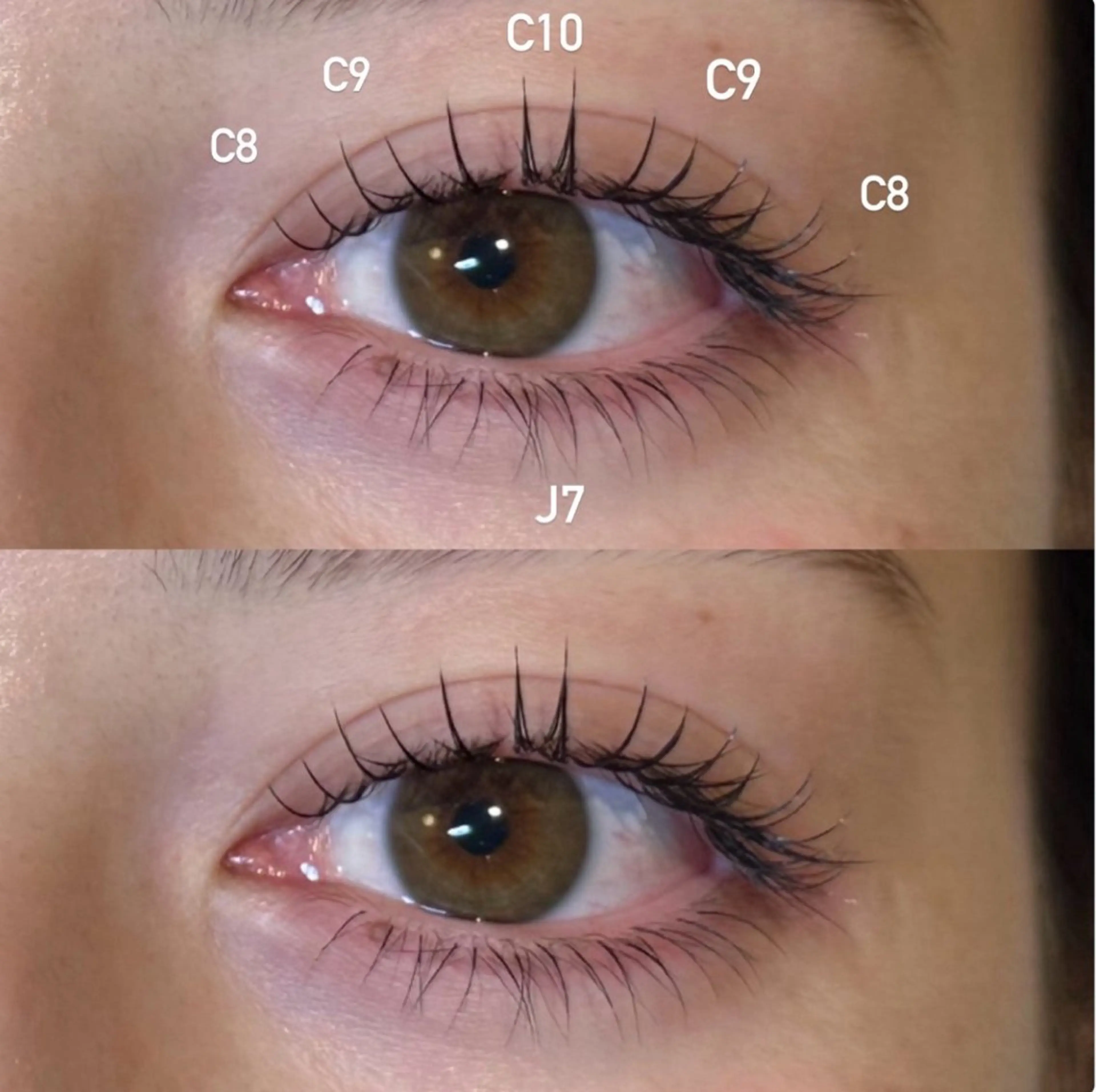 🎀flat lash 100本🎀韓国風束感仕上げ💫💫の写真