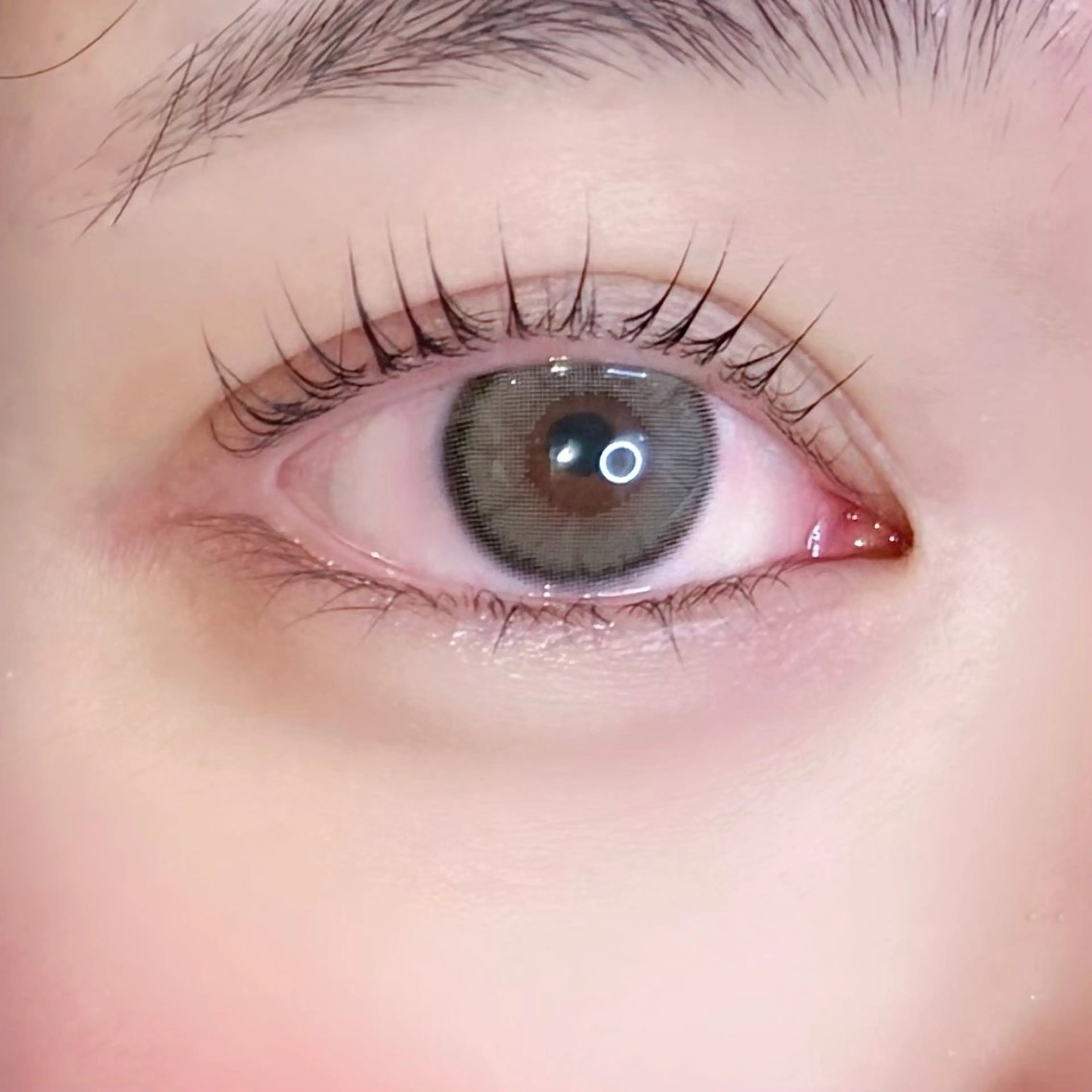 🎀無料モデル🎀 🪄まつ毛パーマ                    ⚠️お直し不可の写真