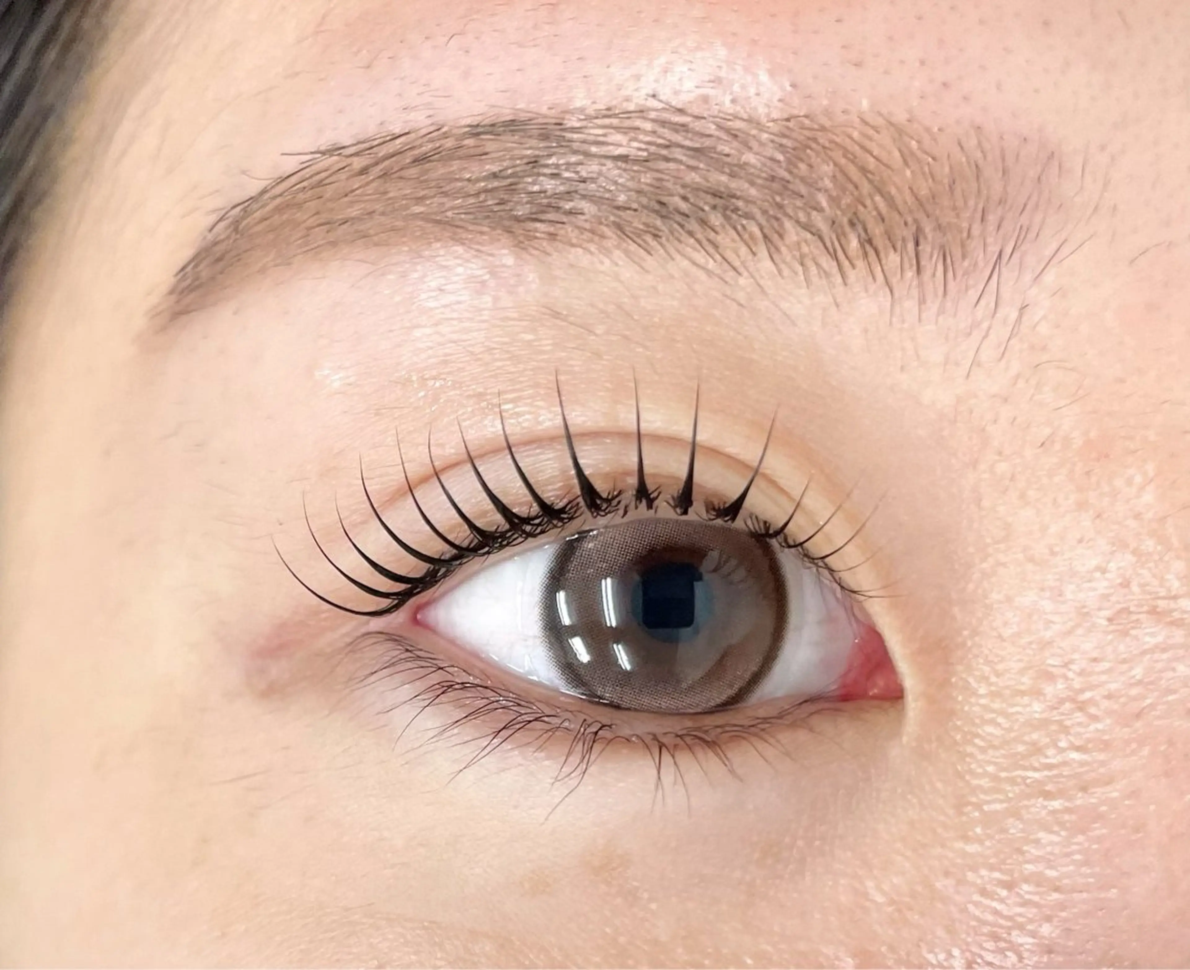 ✨パリジェンヌラッシュリフト＋眉WAX✨パリジェンヌと眉WAXがセットでお得♪11600円→7500円✨町田駅徒歩4分の写真