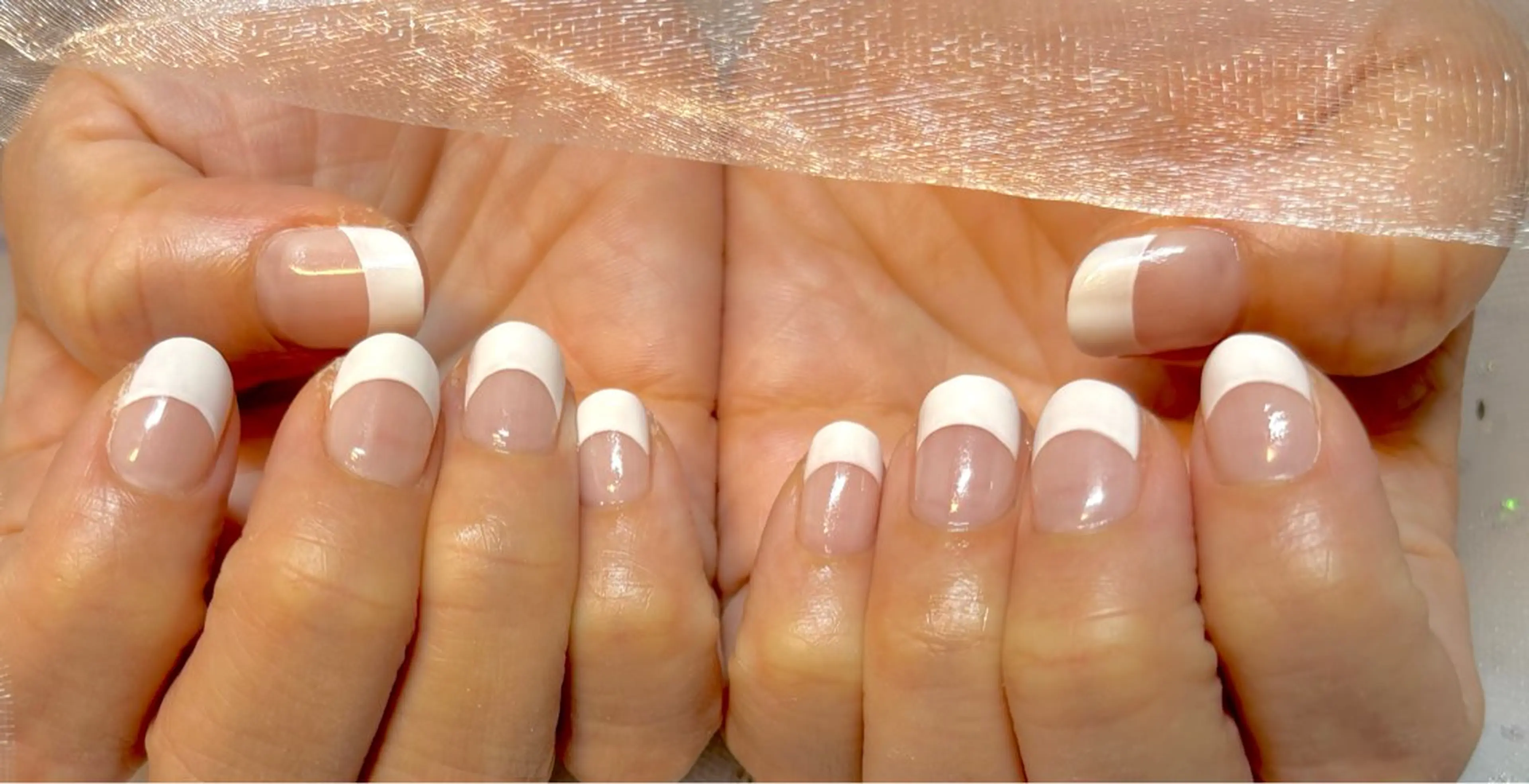 ネイル フレンチネイル グラデーション PuaMo. mikieのネイルデザイン