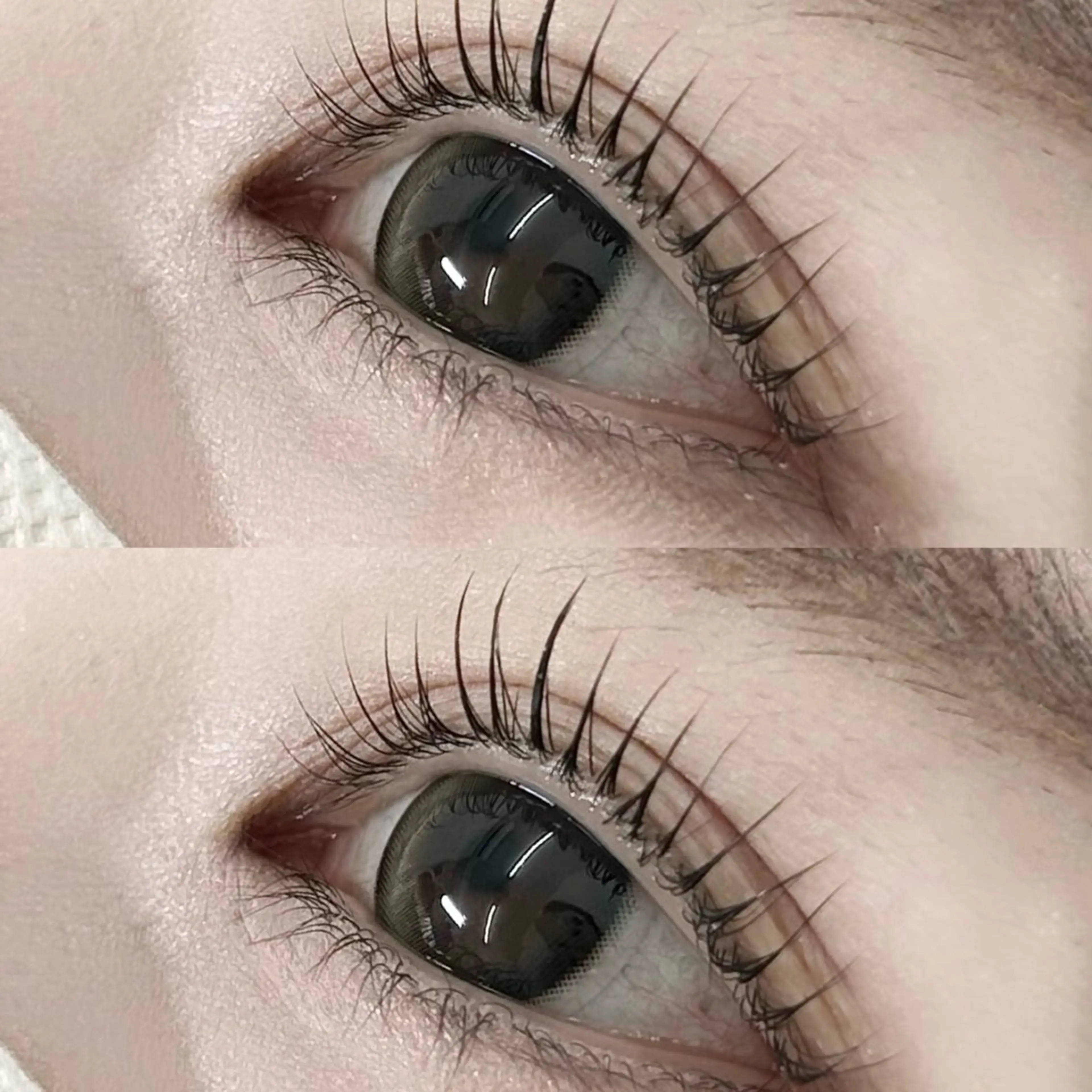 【ご新規様限定🐈‍⬛】韓国風束感まつげパーマ＋ダメージ補強トリートメントの写真