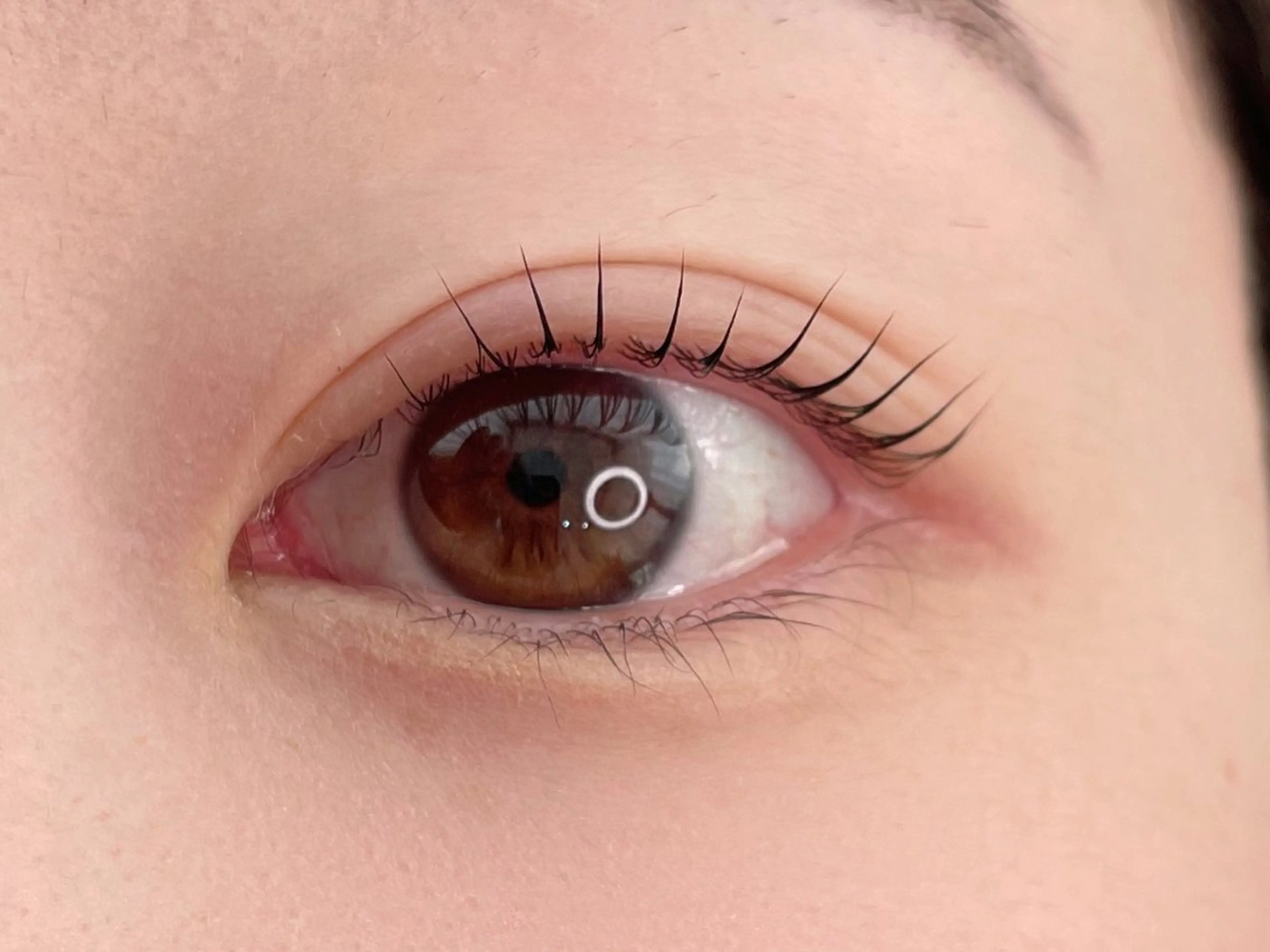 マツエク・マツパ 一重×まつ毛パーマ cil shenon【シルシェノン】所属・SAE | 大阪本町 |　韓国中国風🧸の眉毛・アイブロウイメージ