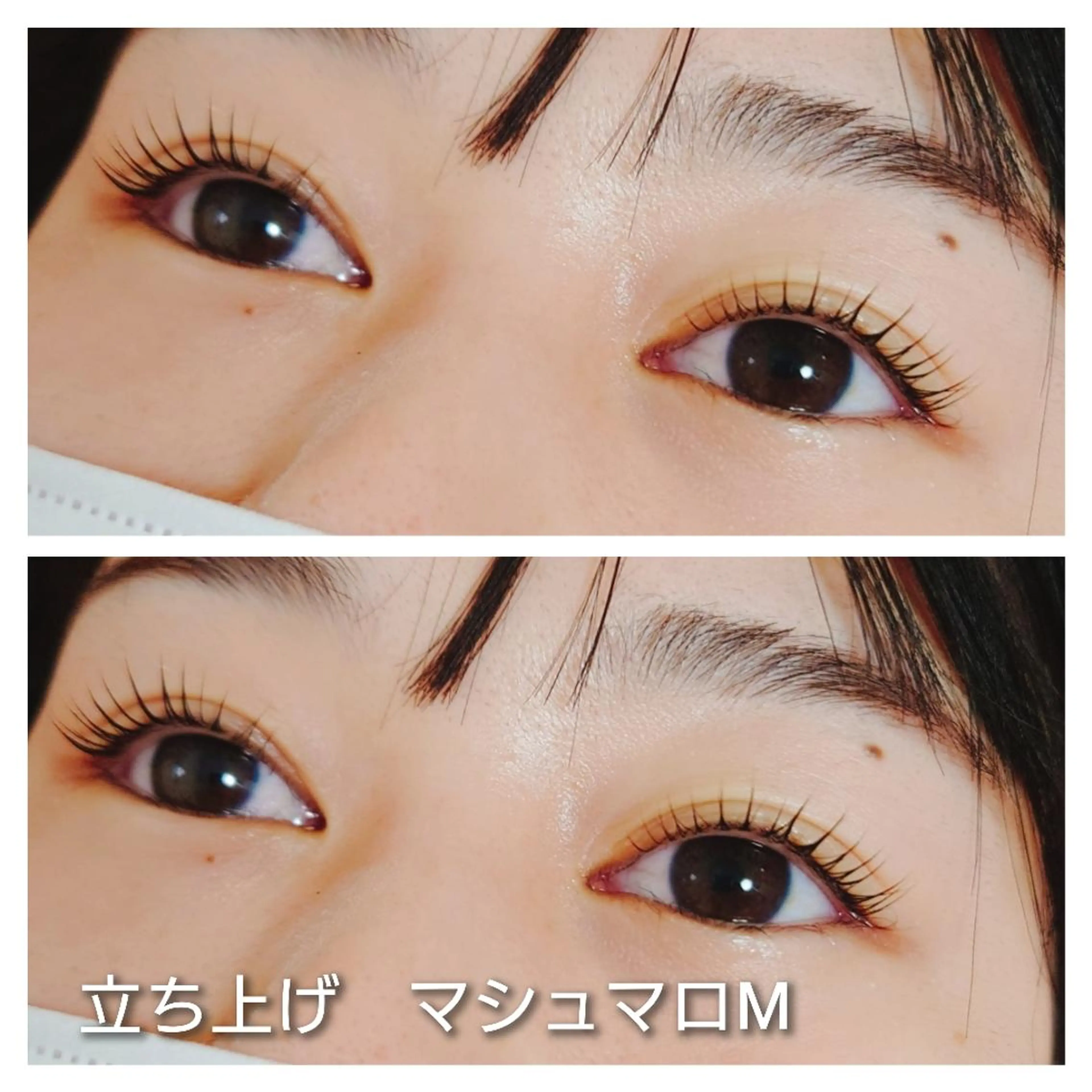 マツエク・マツパ 一重×まつ毛パーマ Beauty Salon Luana所属・Luanaまつパ脱毛 ハーブピーリング眉毛のマツエク・マツパデザイン