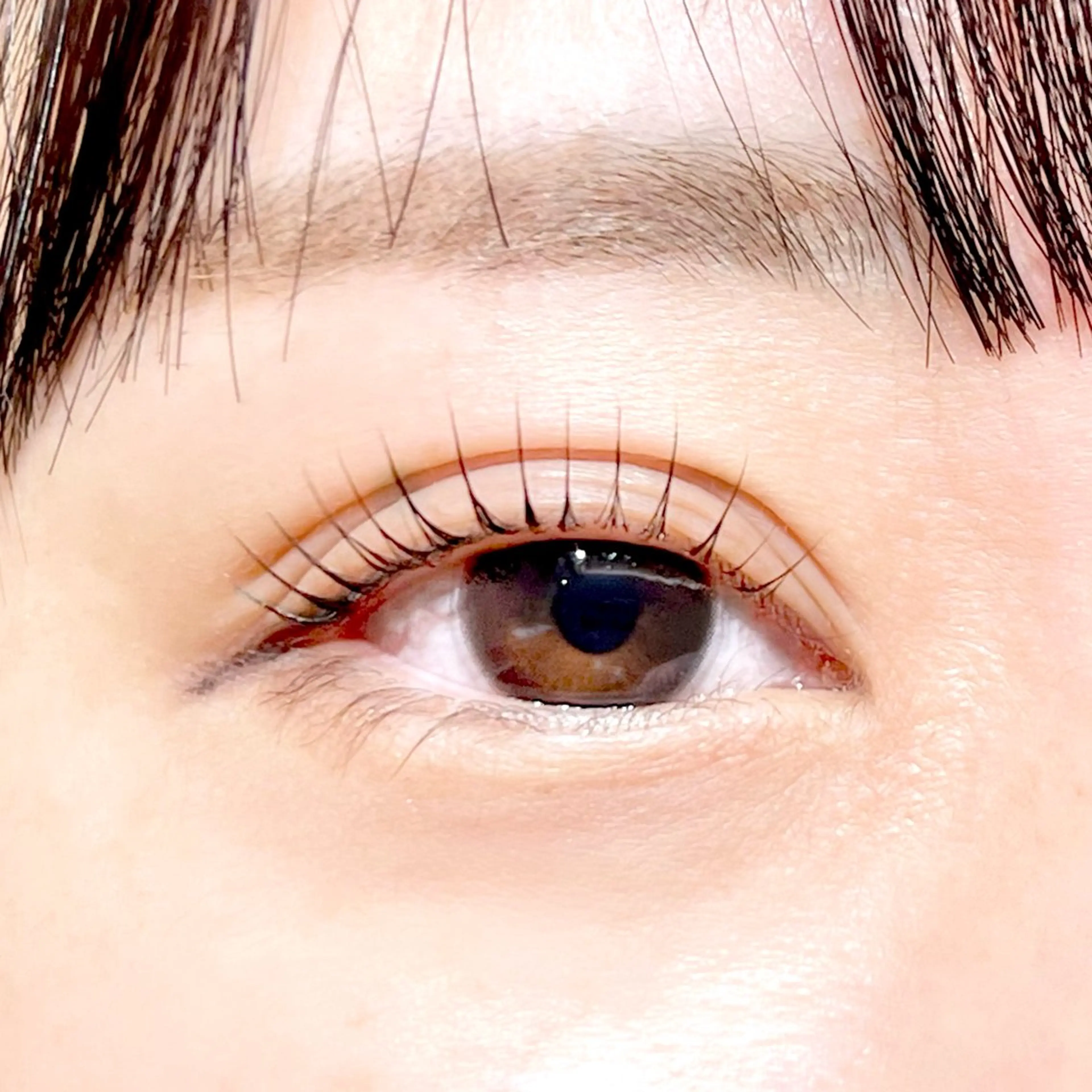 マツエク・マツパ マツパ Fukushi／ 自由が丘quint;のマツエク・マツパデザイン