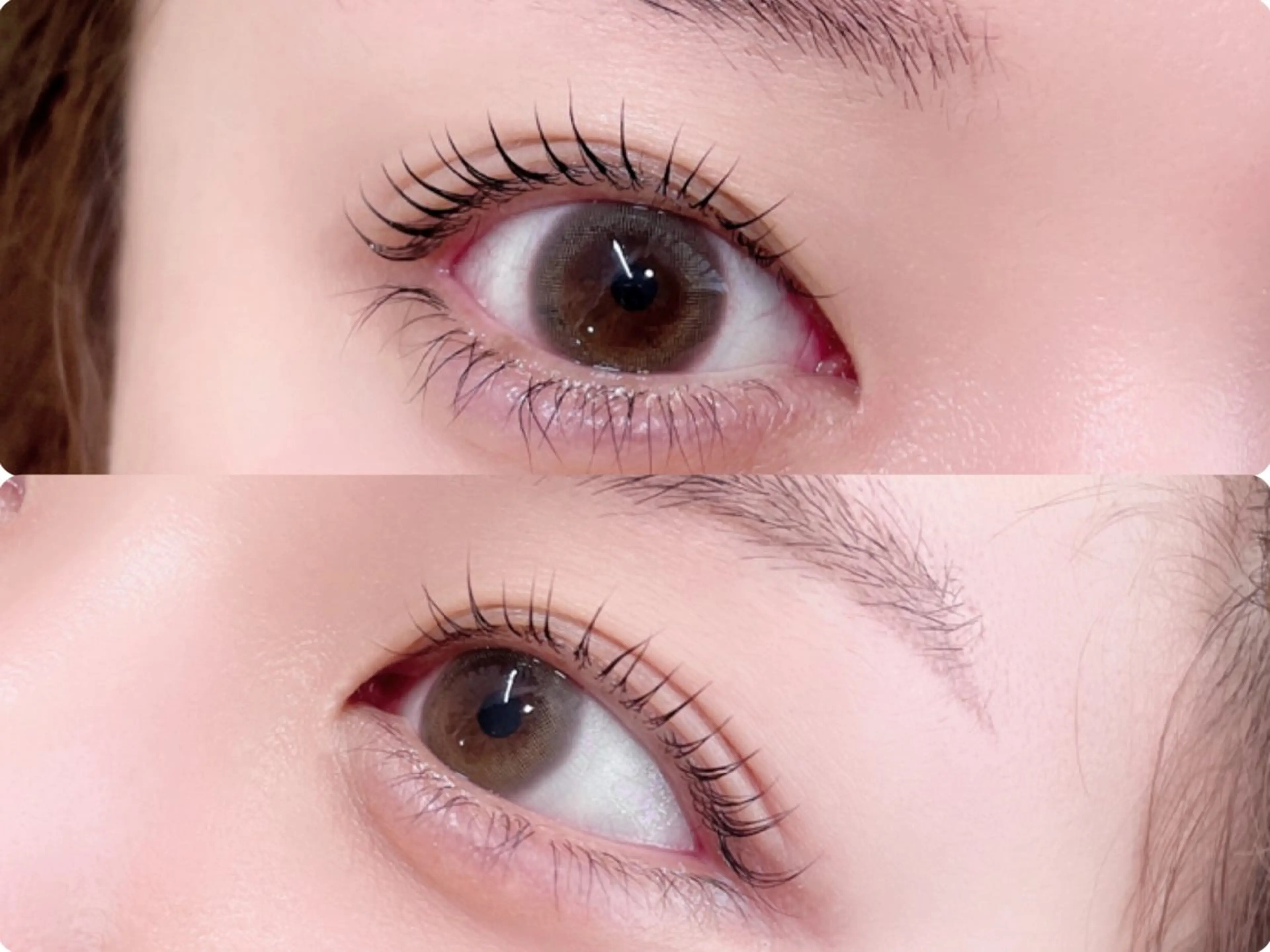 マツエク・マツパ 韓国風マツエク ナチュラル パリジェンヌラッシュリフト まつげパーマ 下まつげエクステ マツパ 🎀Lino 中目黒 TAKAMI🐈のマツエク・マツパデザイン