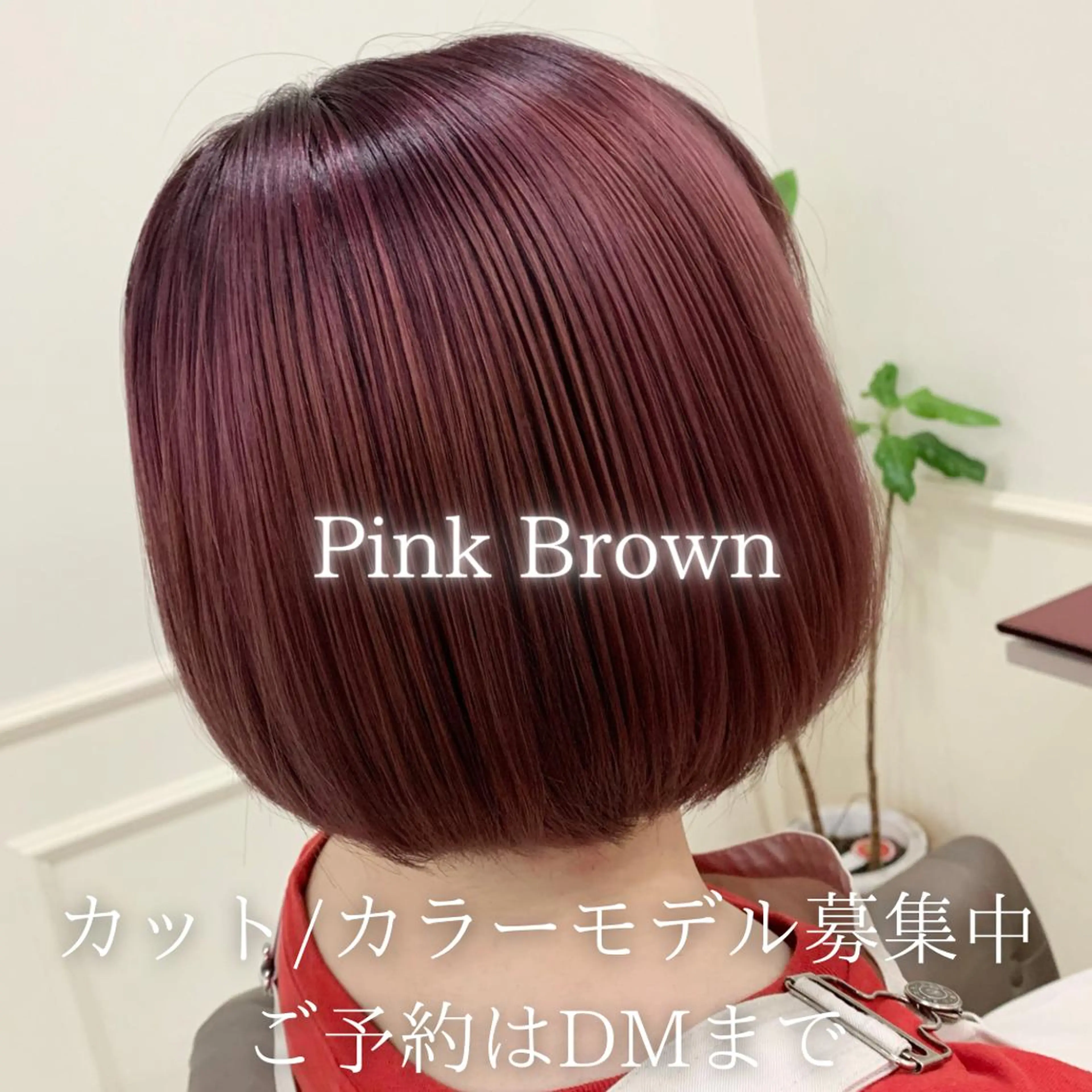 ショート カラー ブリーチ トリートメント Sail【セイル】所属・喜多 涼のヘアスタイル