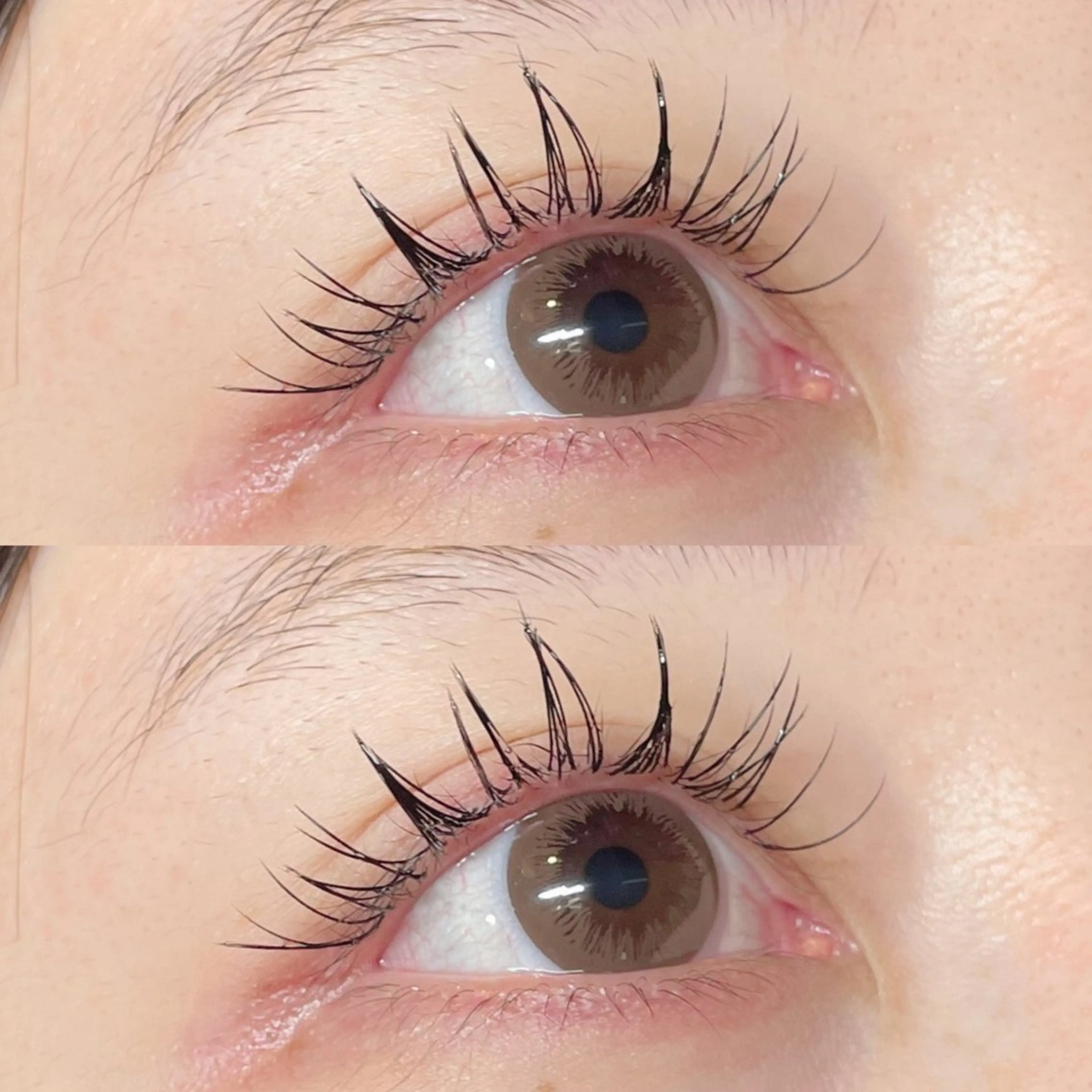 マツエク・マツパ フラットラッシュ cerisier mio/名古屋/黒川のマツエク・マツパデザイン