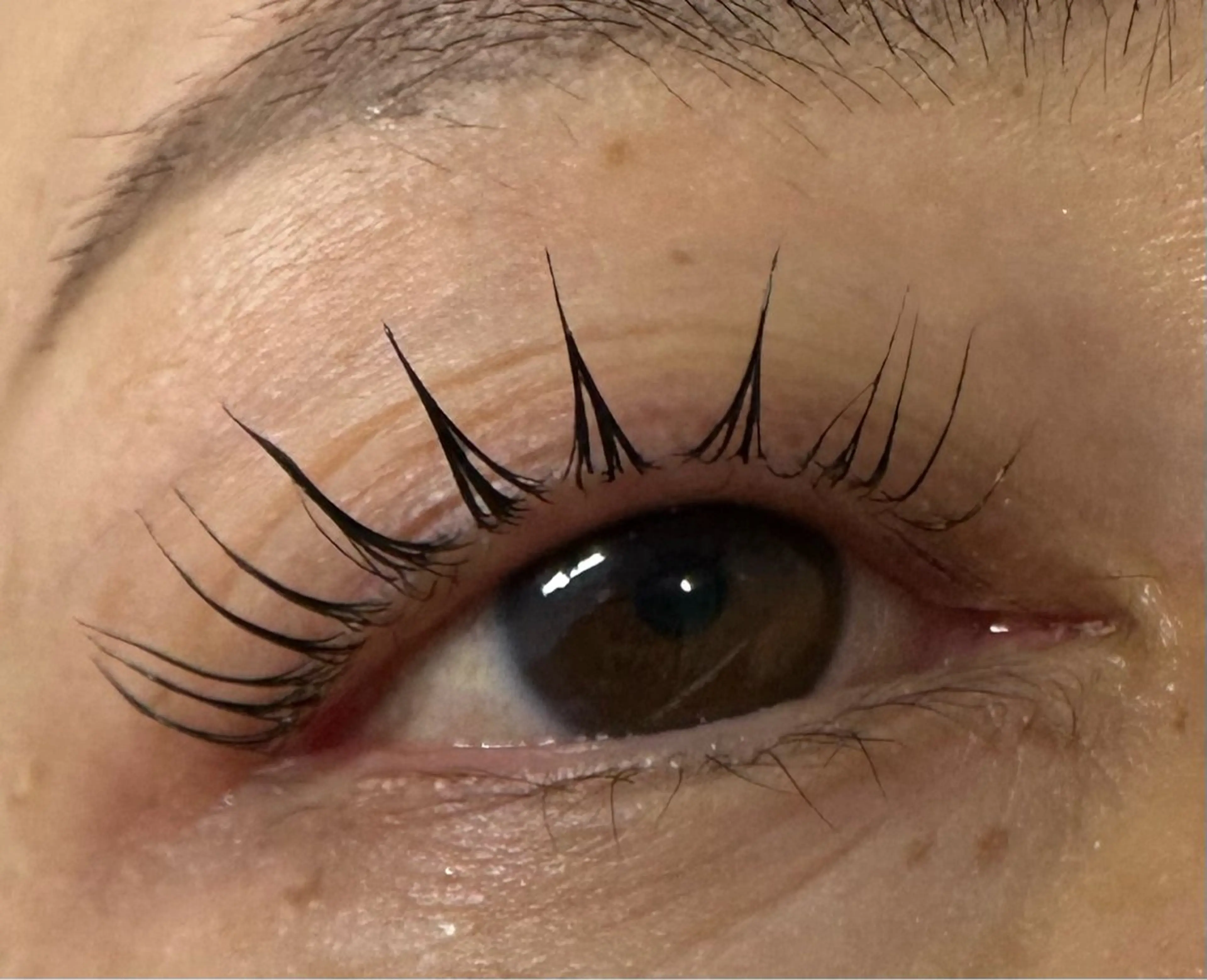 マツエク・マツパ パリジェンヌラッシュリフト マツパ eyelash Mono✨KATOのマツエク・マツパデザイン