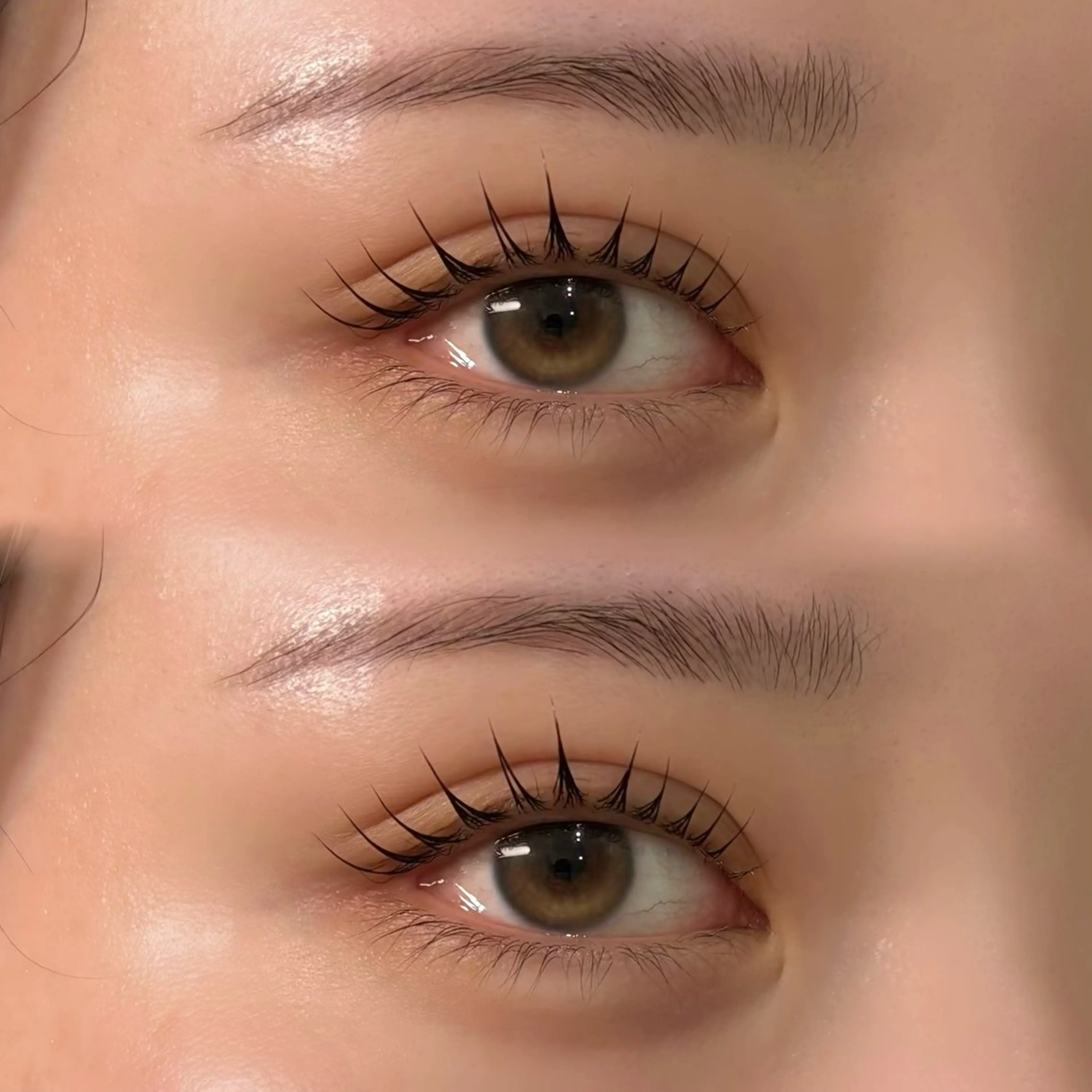 《🍒12月限定🍒》ラッシュリフトorパリジェンヌ  TR付き🎀💕の写真