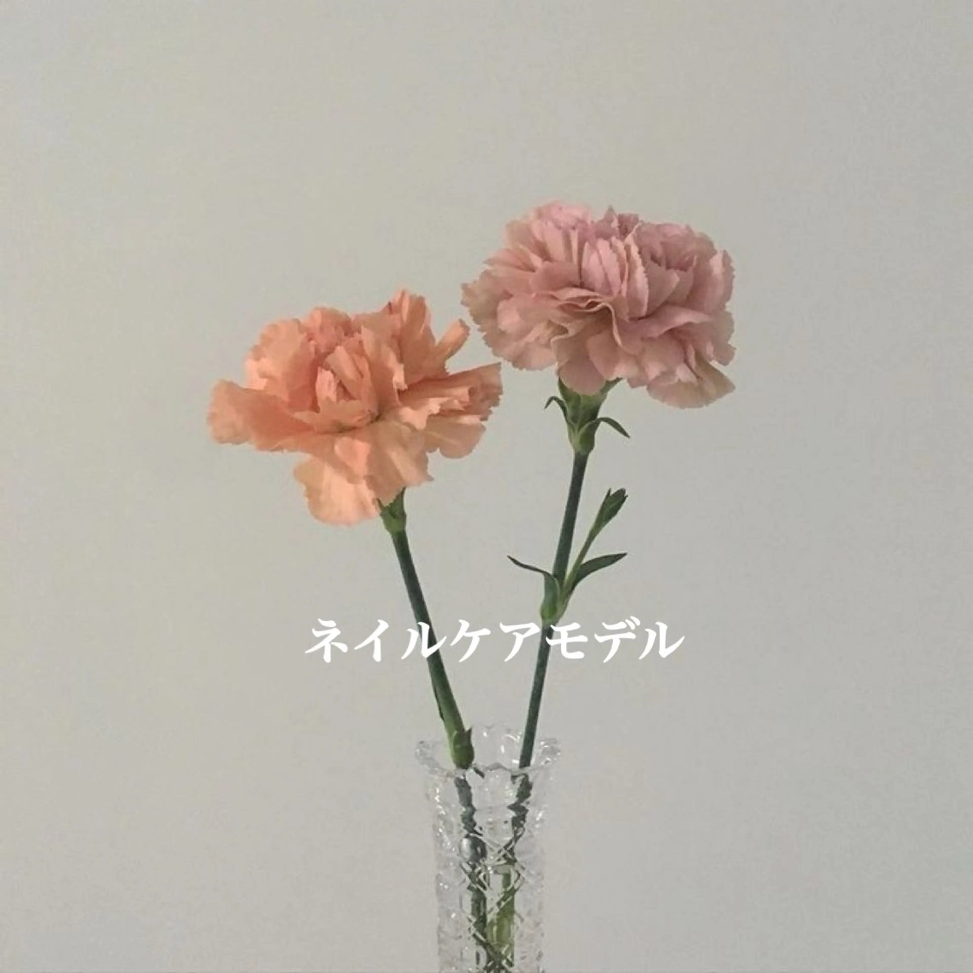 ネイル ジェルネイル ツヤカラー🫧 Saeのヘアスタイル