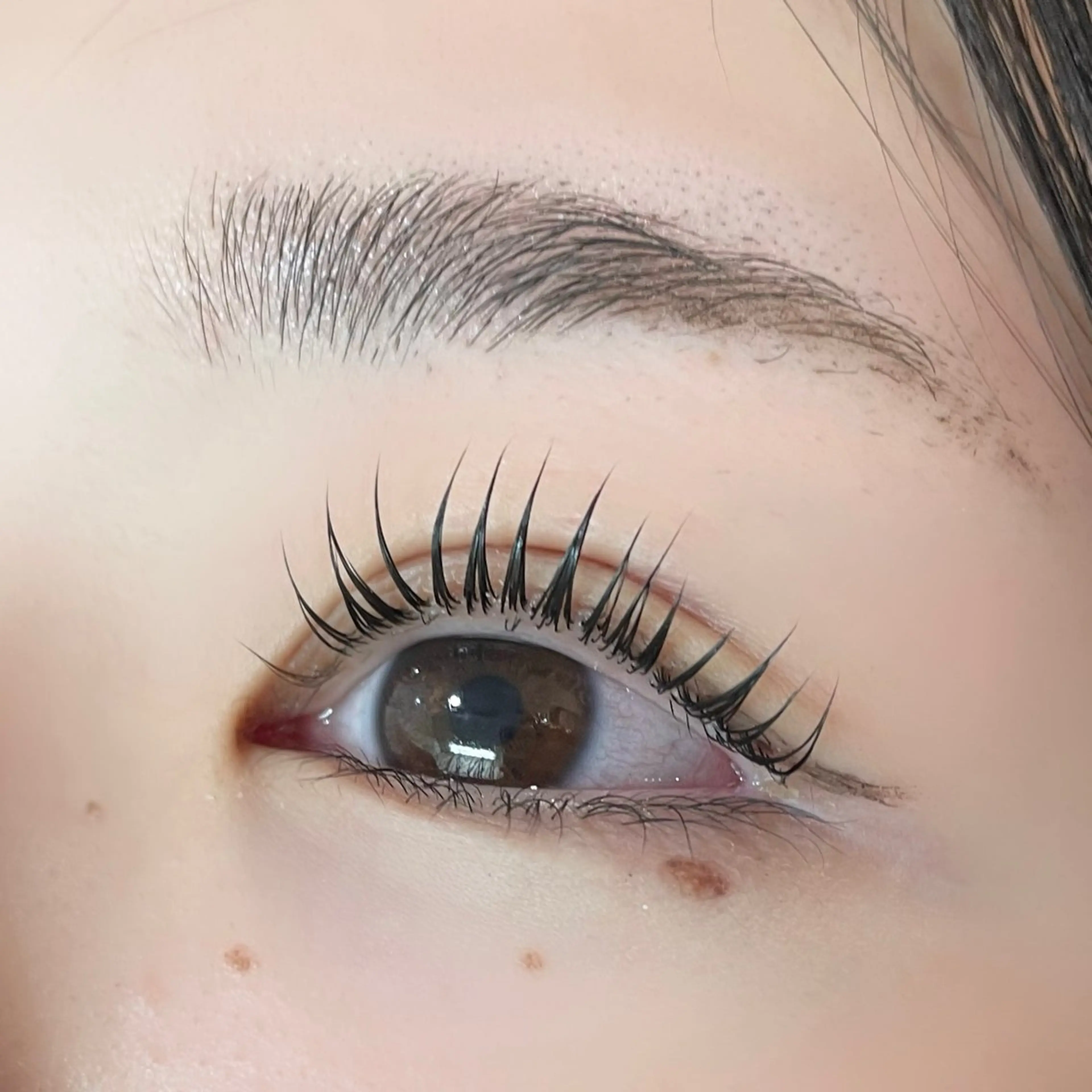 マツエク・マツパ パリジェンヌラッシュリフト EYELA esashi🧸のマツエク・マツパデザイン