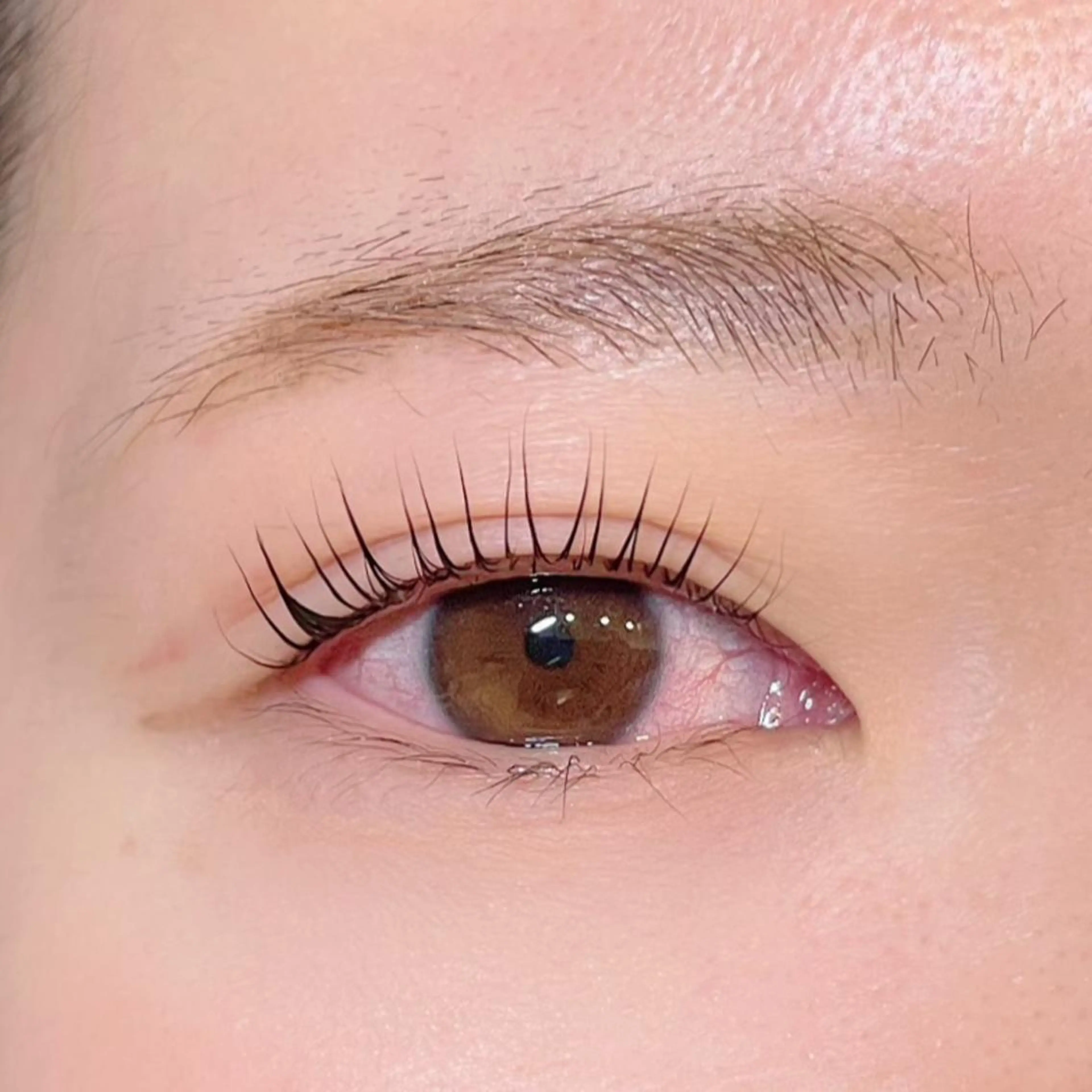 マツエク・マツパ Sakurablow 難波店　小嶋の眉毛・アイブロウイメージ