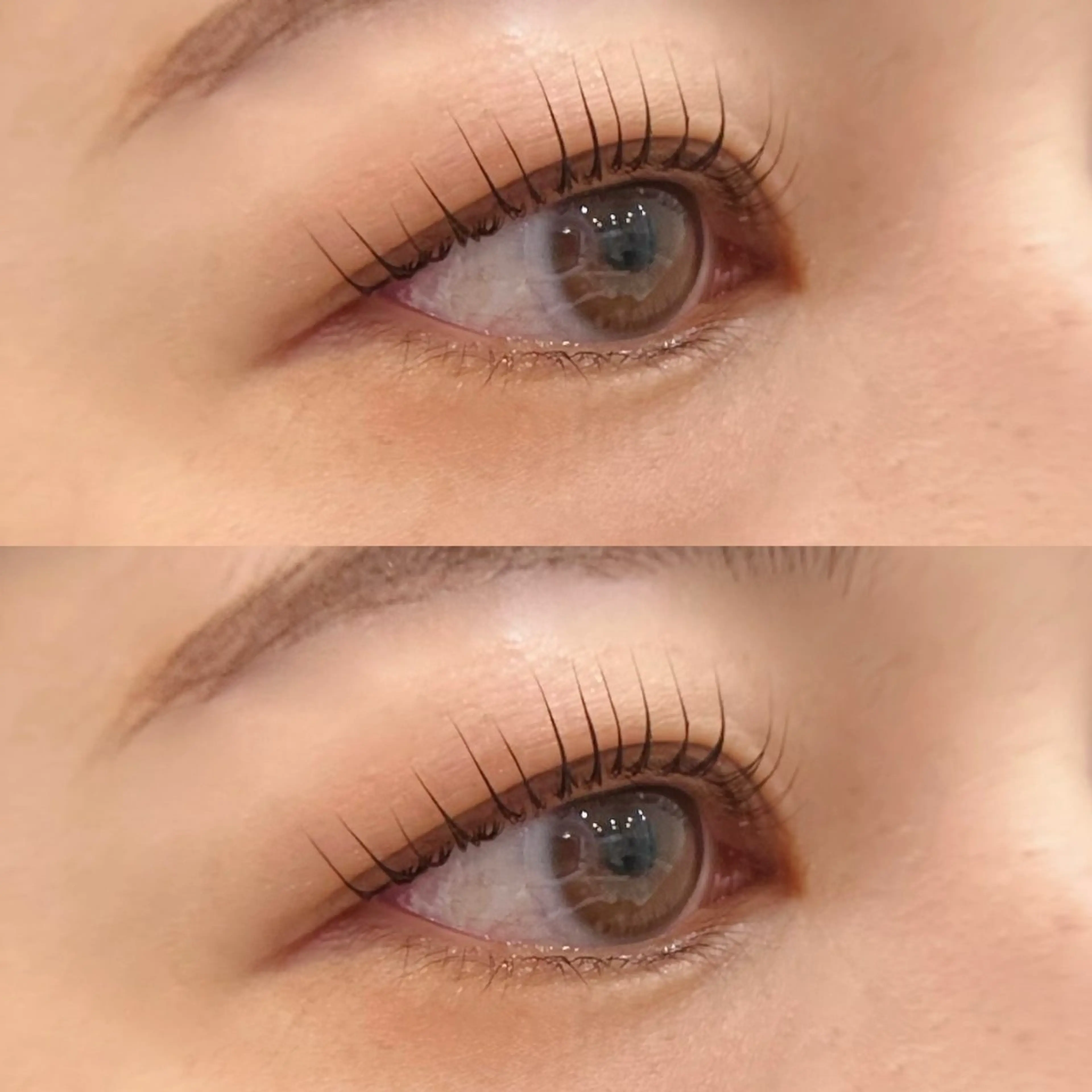 12月限定🎄まつげパーマ【コーティング剤1本プレゼント】の写真