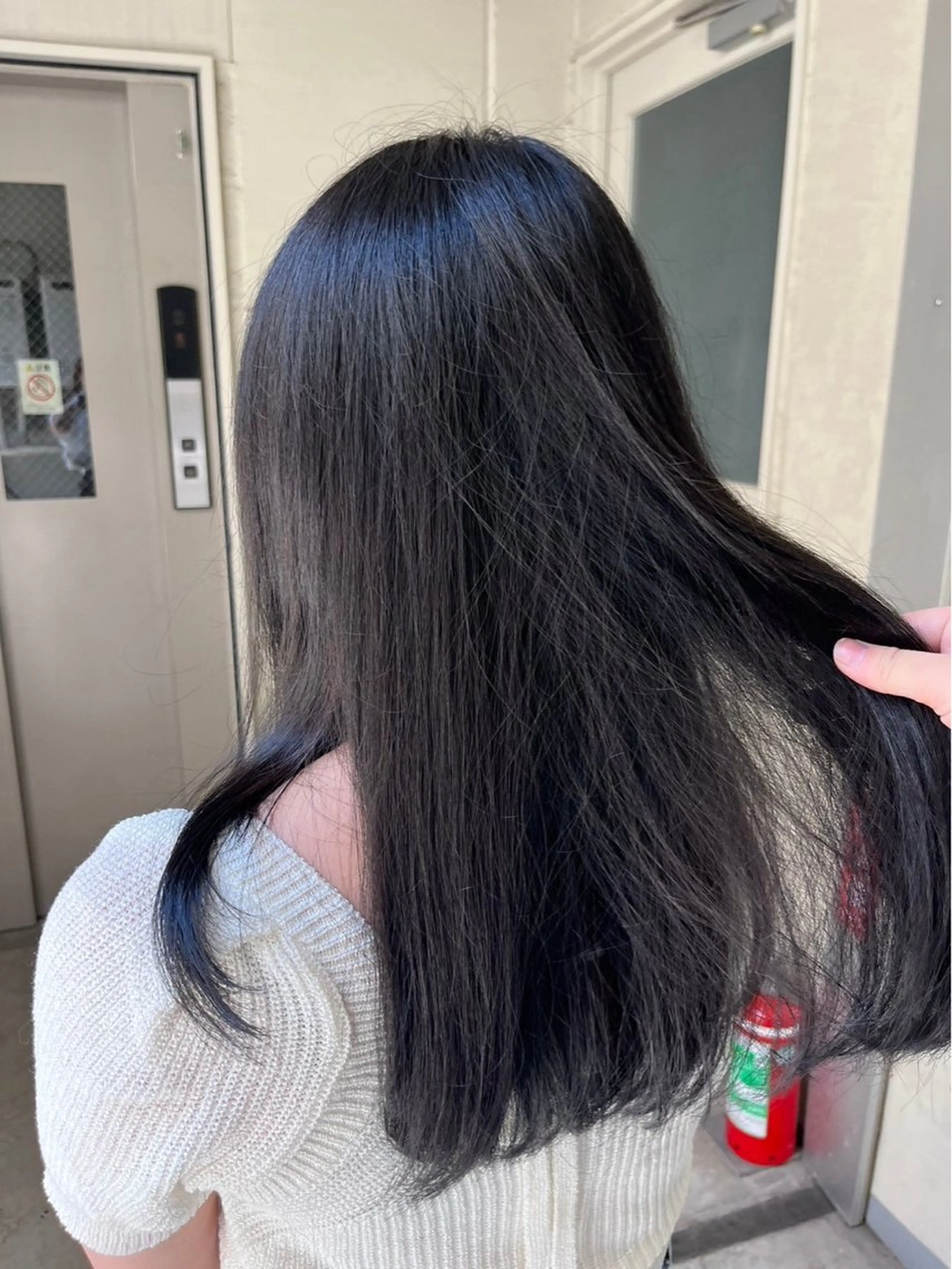 カラー 黒髪 ブルーカラー ブルーブラック Needs by ONECONCEPT所属・齋 采伽のヘアスタイル