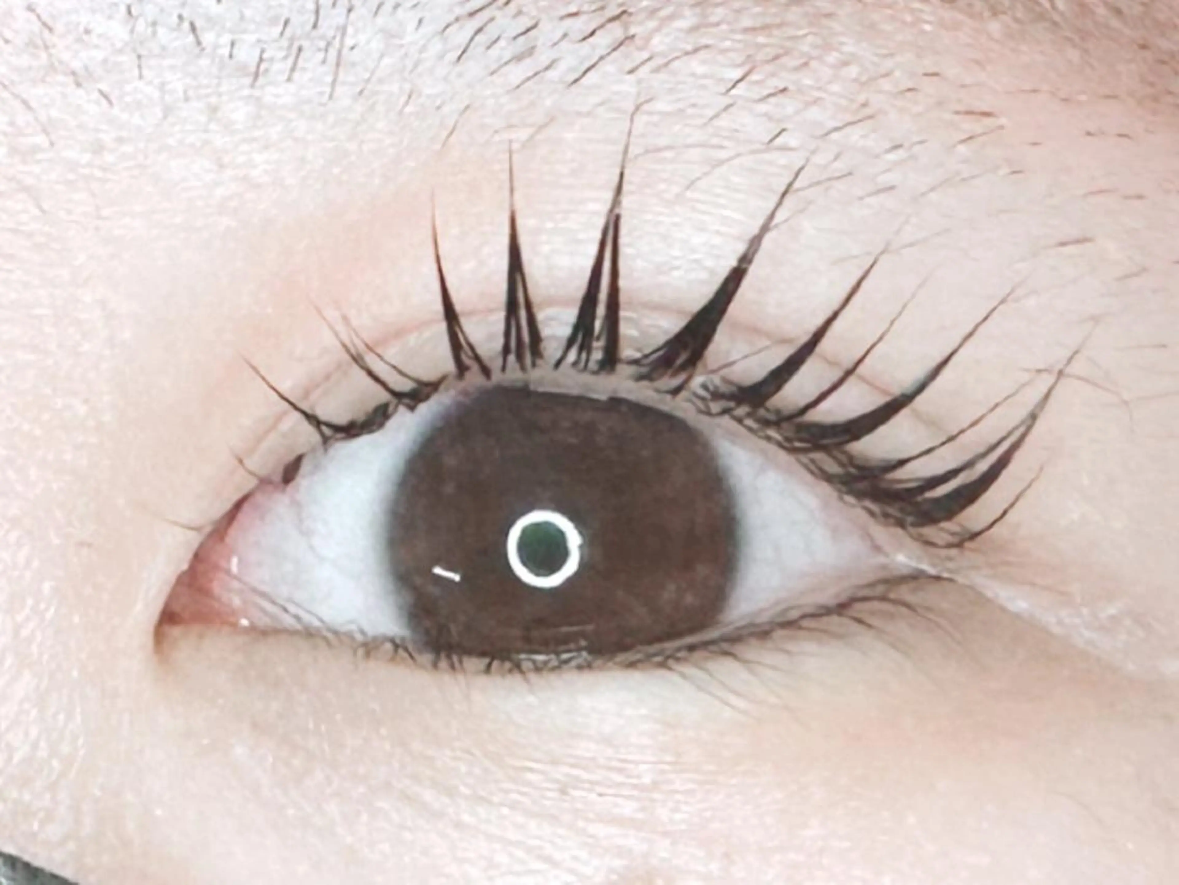 マツエク・マツパ パリジェンヌラッシュリフト 𝐉𝐎𝐋𝐈 アイリスト ❤︎のマツエク・マツパデザイン