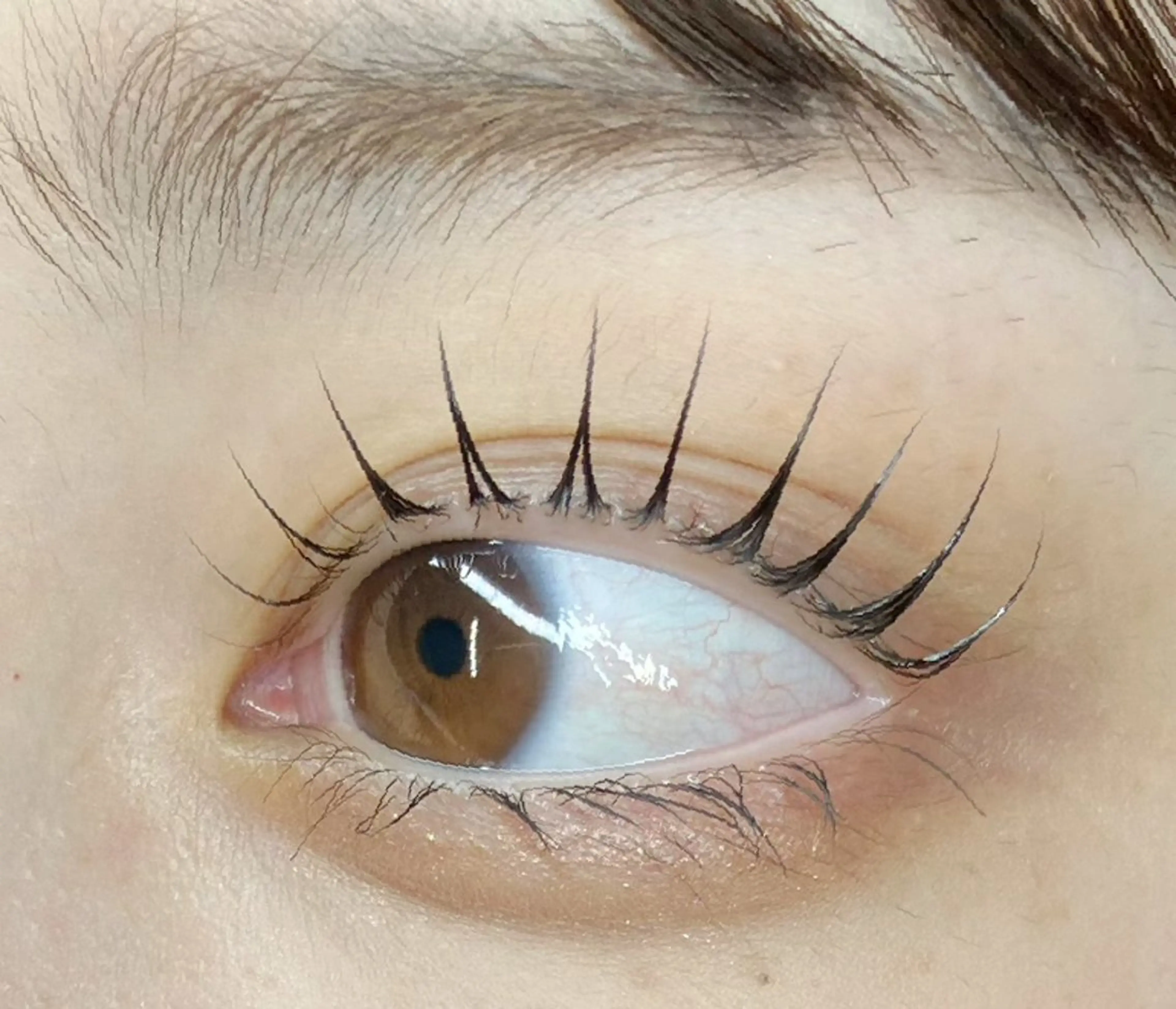 マツエク・マツパ マツパ 💙🐈 ayaのマツエク・マツパデザイン